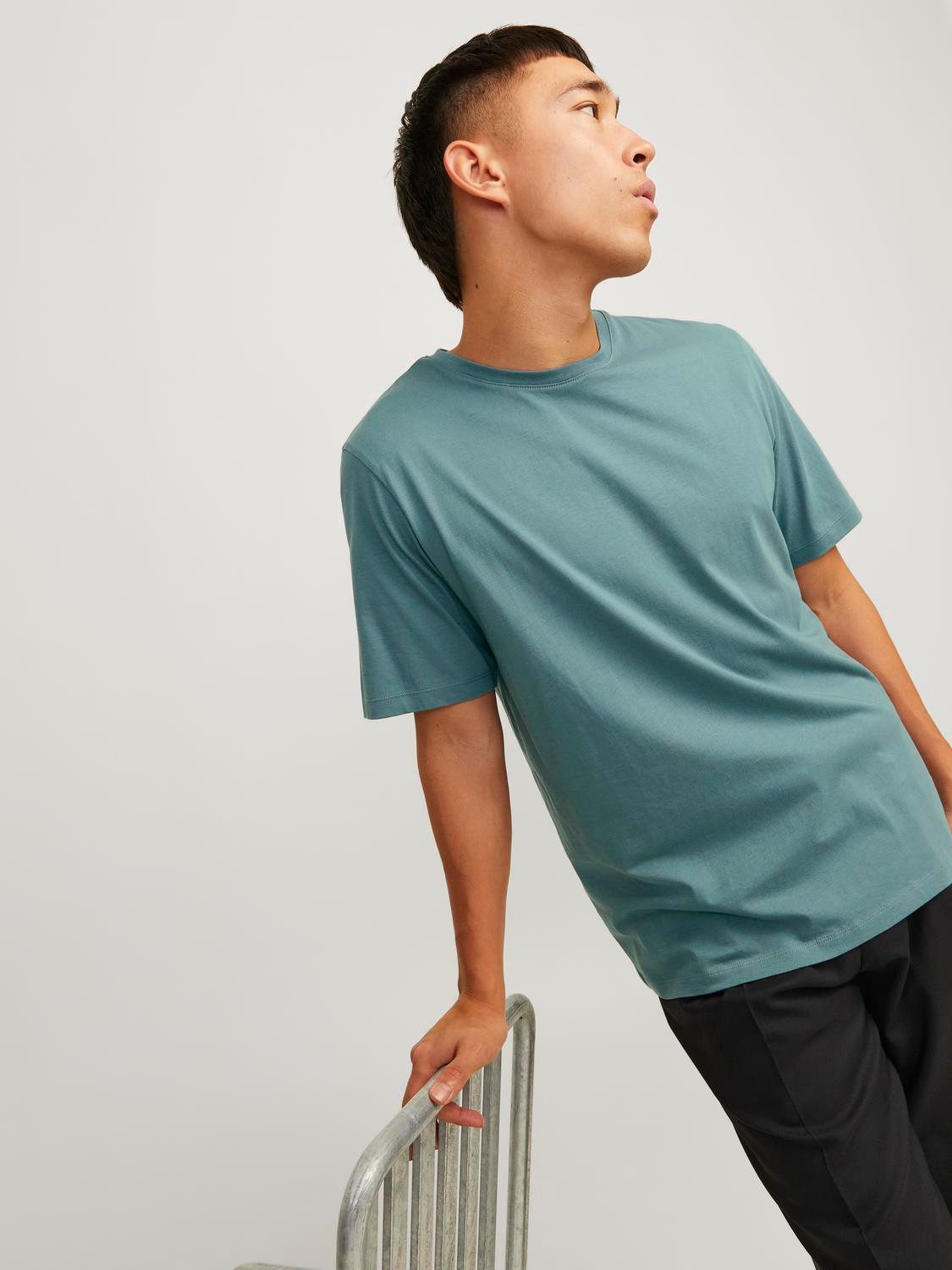 Jack & Jones Shirt met ronde hals JJEORGANIC BASIC TEE SS O-NECK NOOS