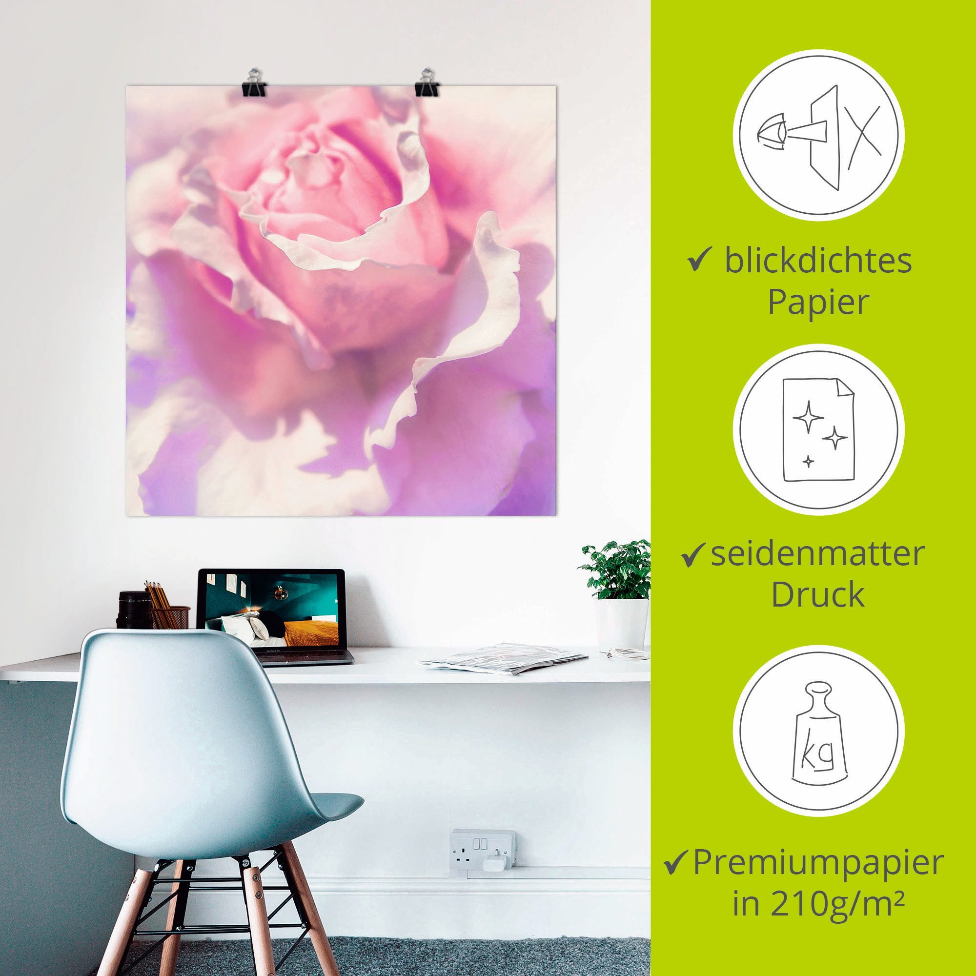 Artland Artprint Roze als artprint op linnen, poster, muursticker in verschillende maten