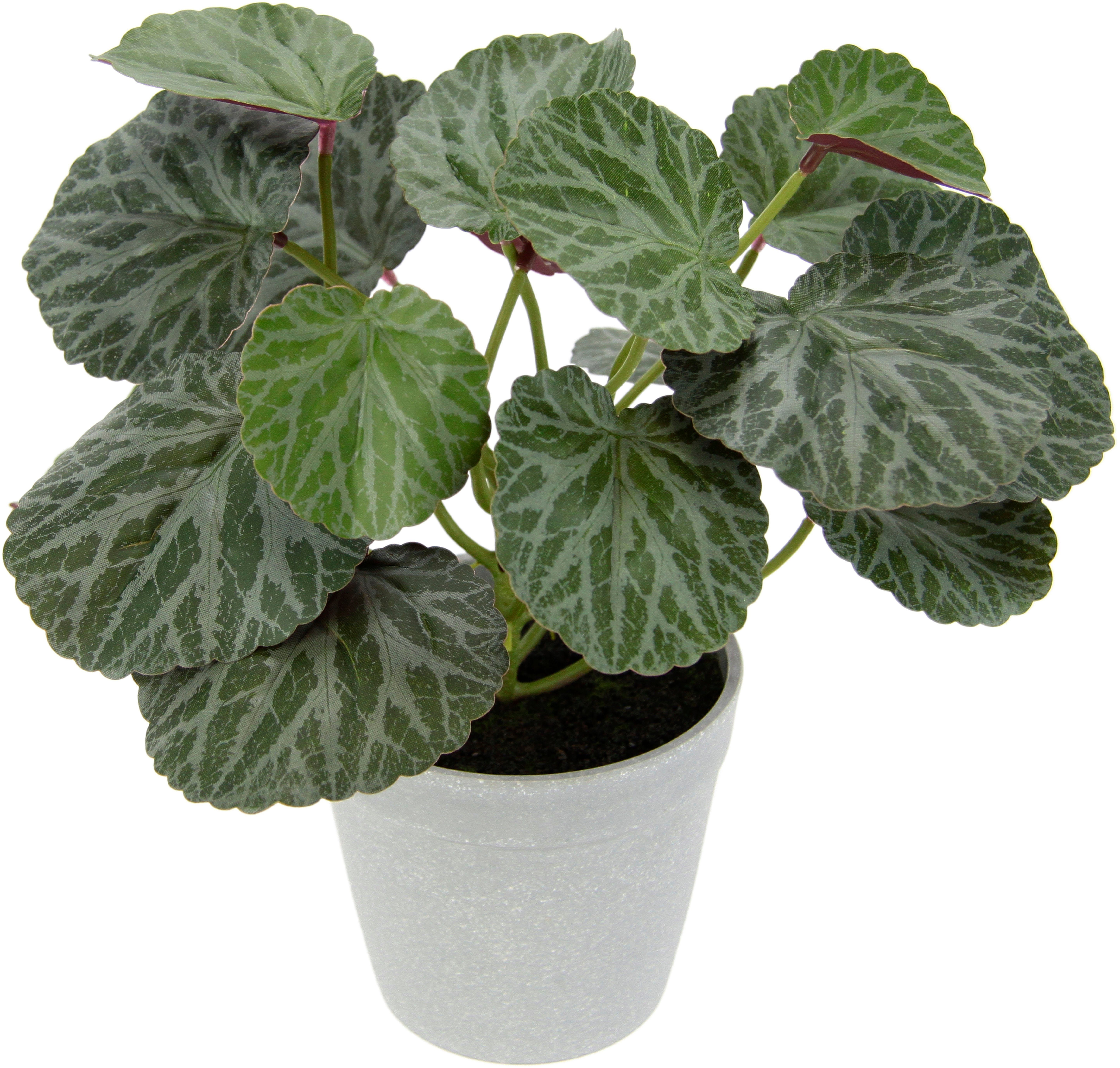 I.GE.A. Kunstplant Kunstmatige plant begonia in pot begonia struik bladplant Balkonplant...