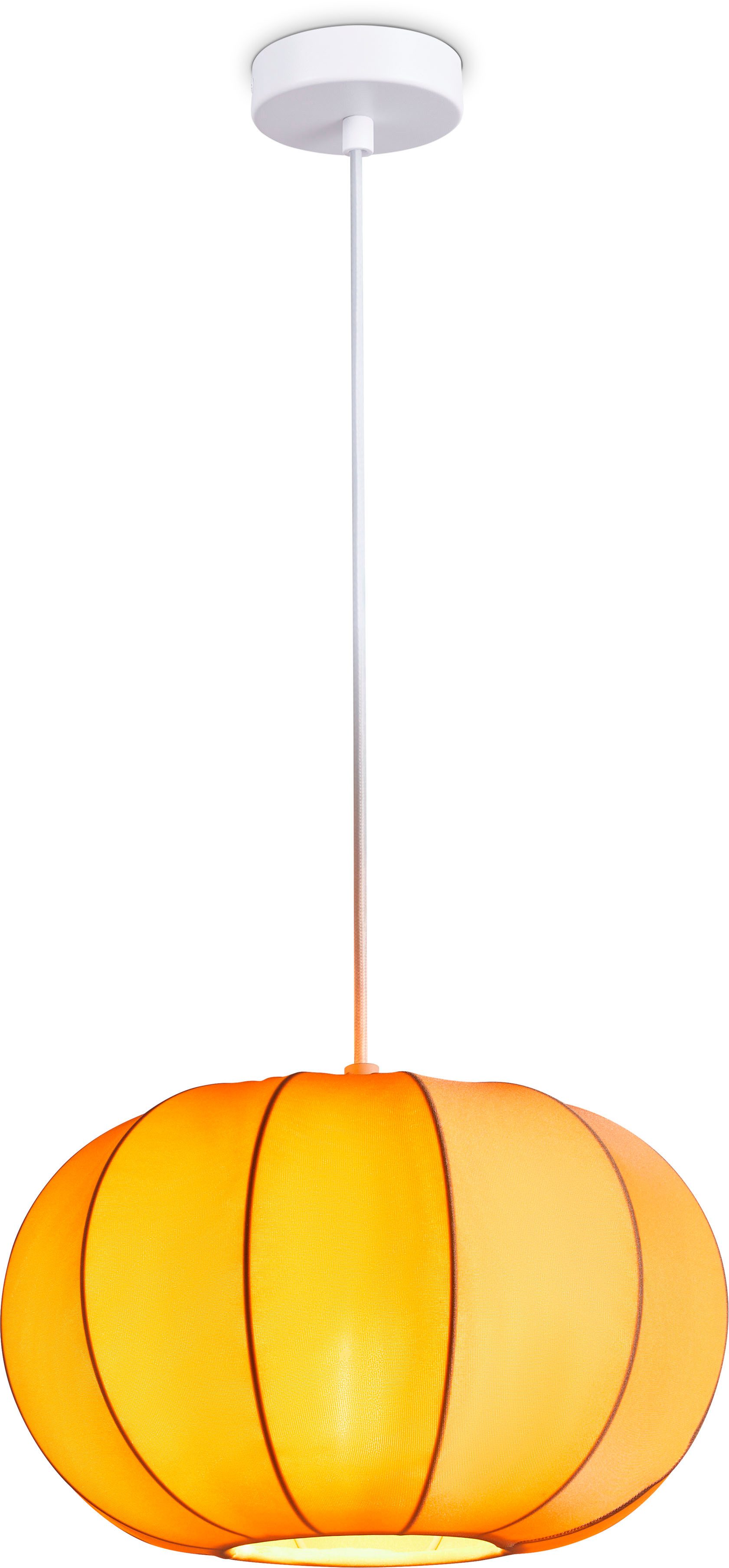 Paco Home Hanglamp HUGO PD1