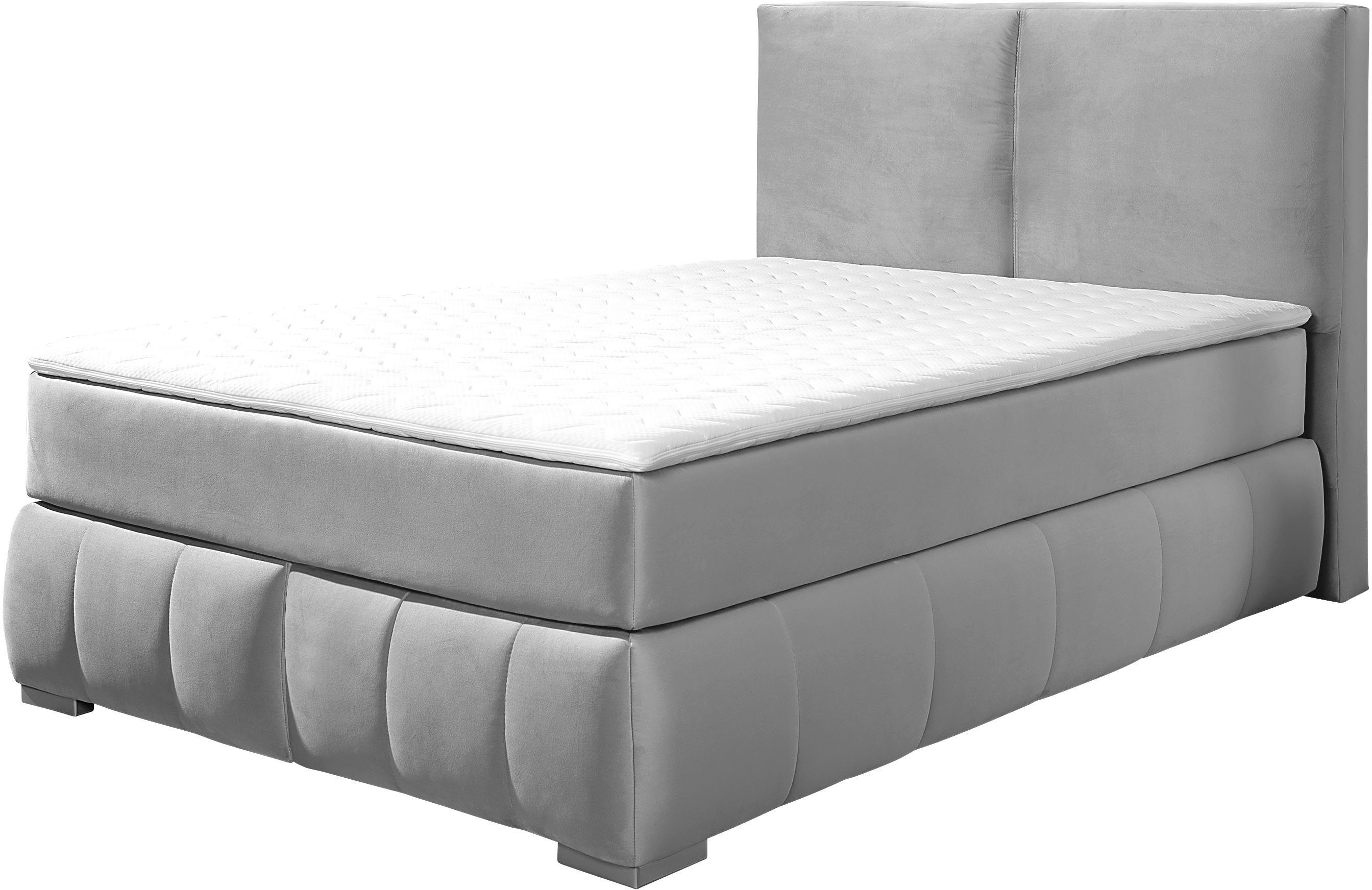 Guido Maria Kretschmer Home&Living Boxspring Wehma incl. matrastopper voor 3 verschillende matrassen, ook in fluwelen stof