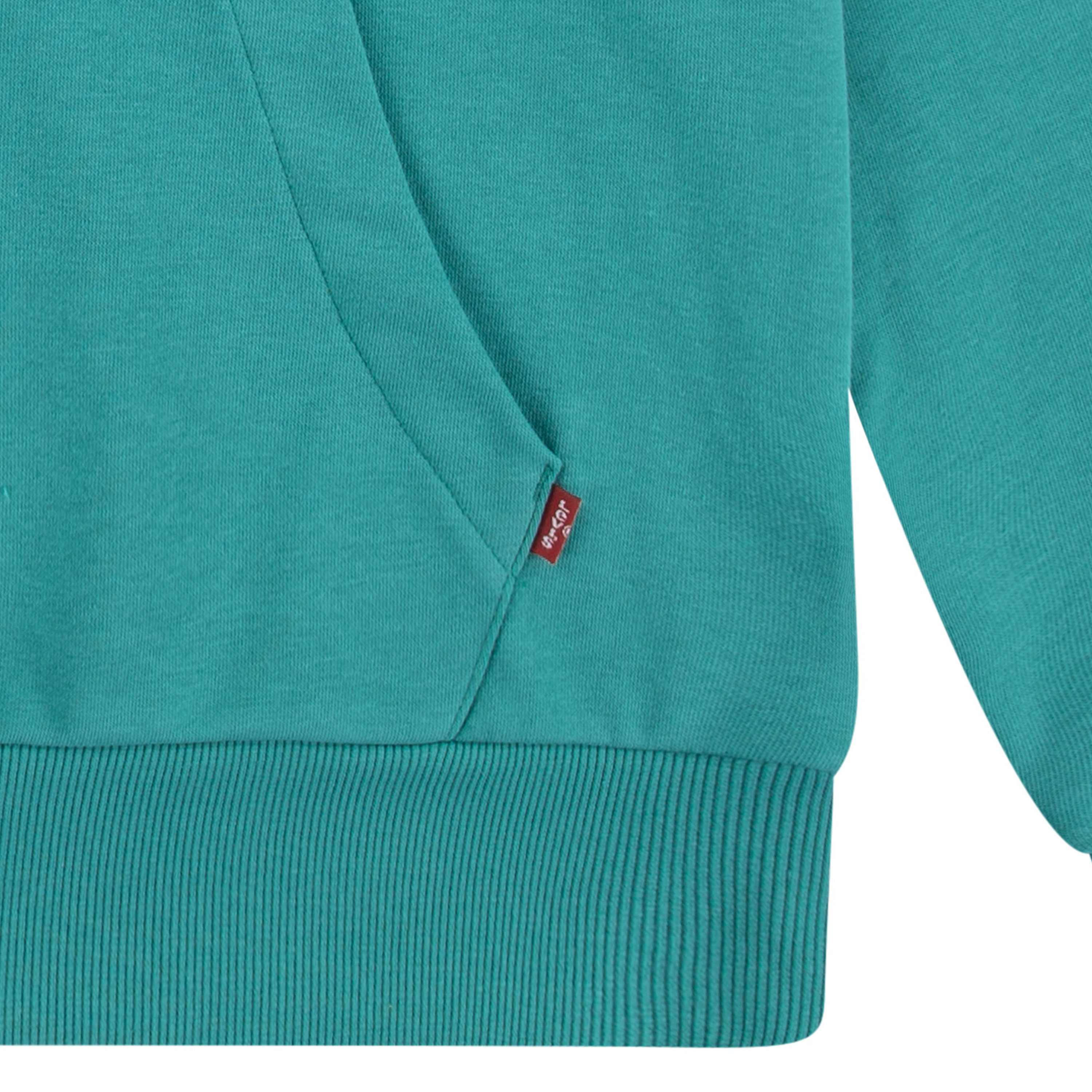 Levi's Kidswear Hoodie LVB BATWING PULLOVER HOODIE