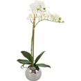 guido maria kretschmer homeliving kunstorchidee voguish kunstplant, in een pot van keramiek (1 stuk) wit