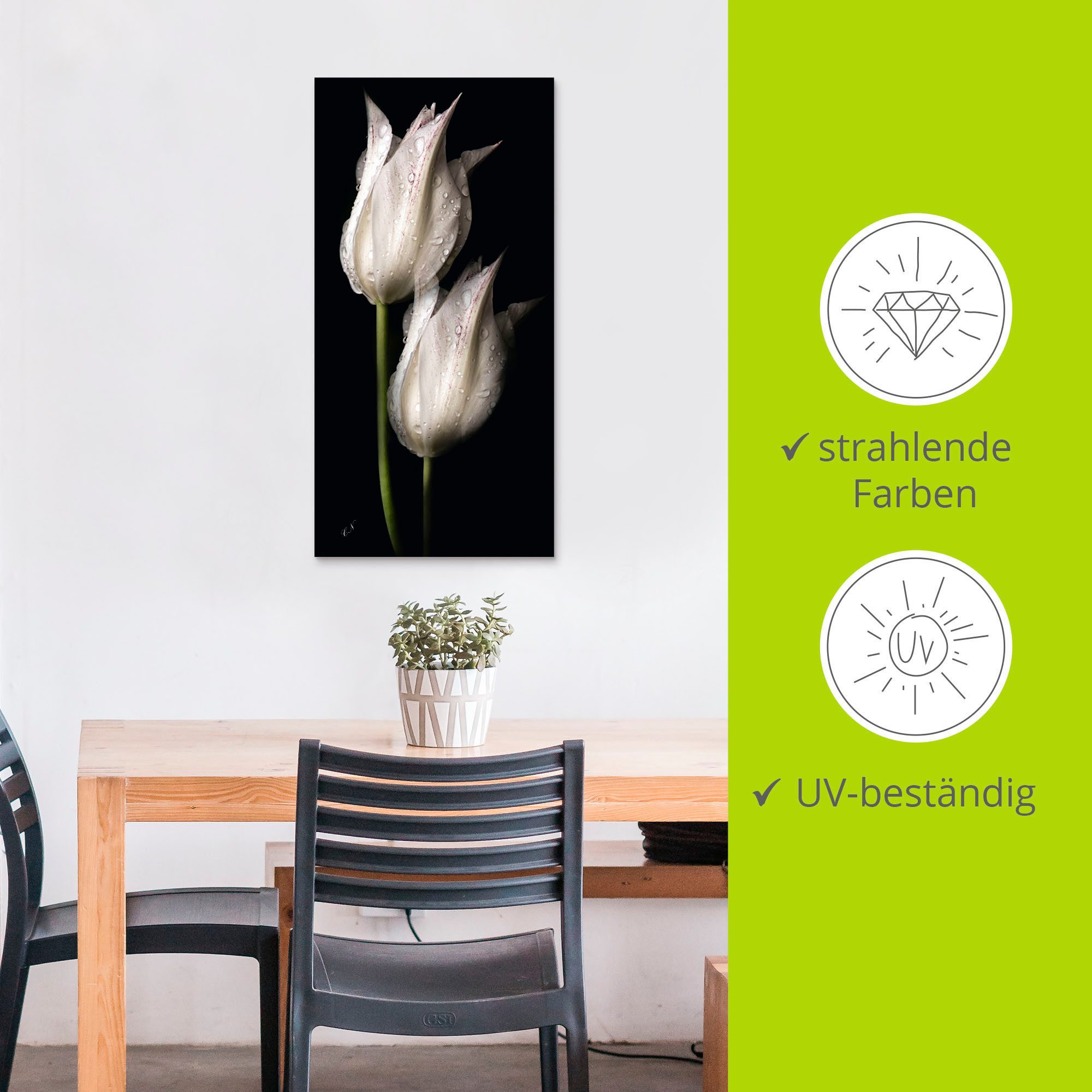 Artland Artprint Witte tulpen in de nacht als artprint van aluminium, artprint voor buiten, artprint op linnen, poster, muursticker