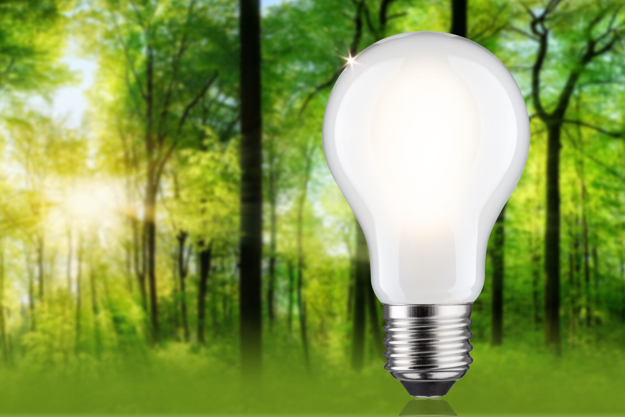Paulmann Led-verlichting Eco-Line filament 230V LED-lamp E27 1521lm 8,2W 3000K dimbaar mat (1 stuk)