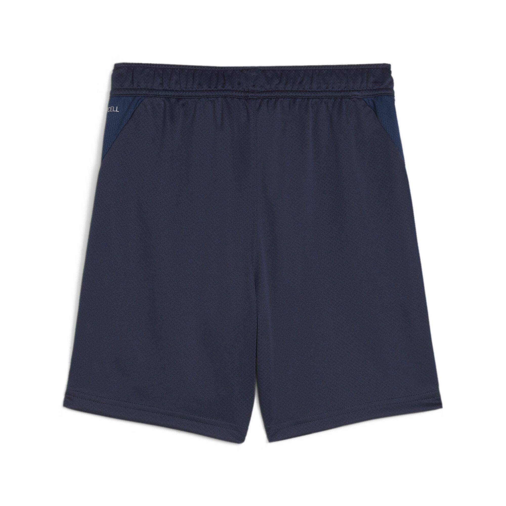 PUMA Trainingsshort TEAMGOAL TRAINING SHORT JR