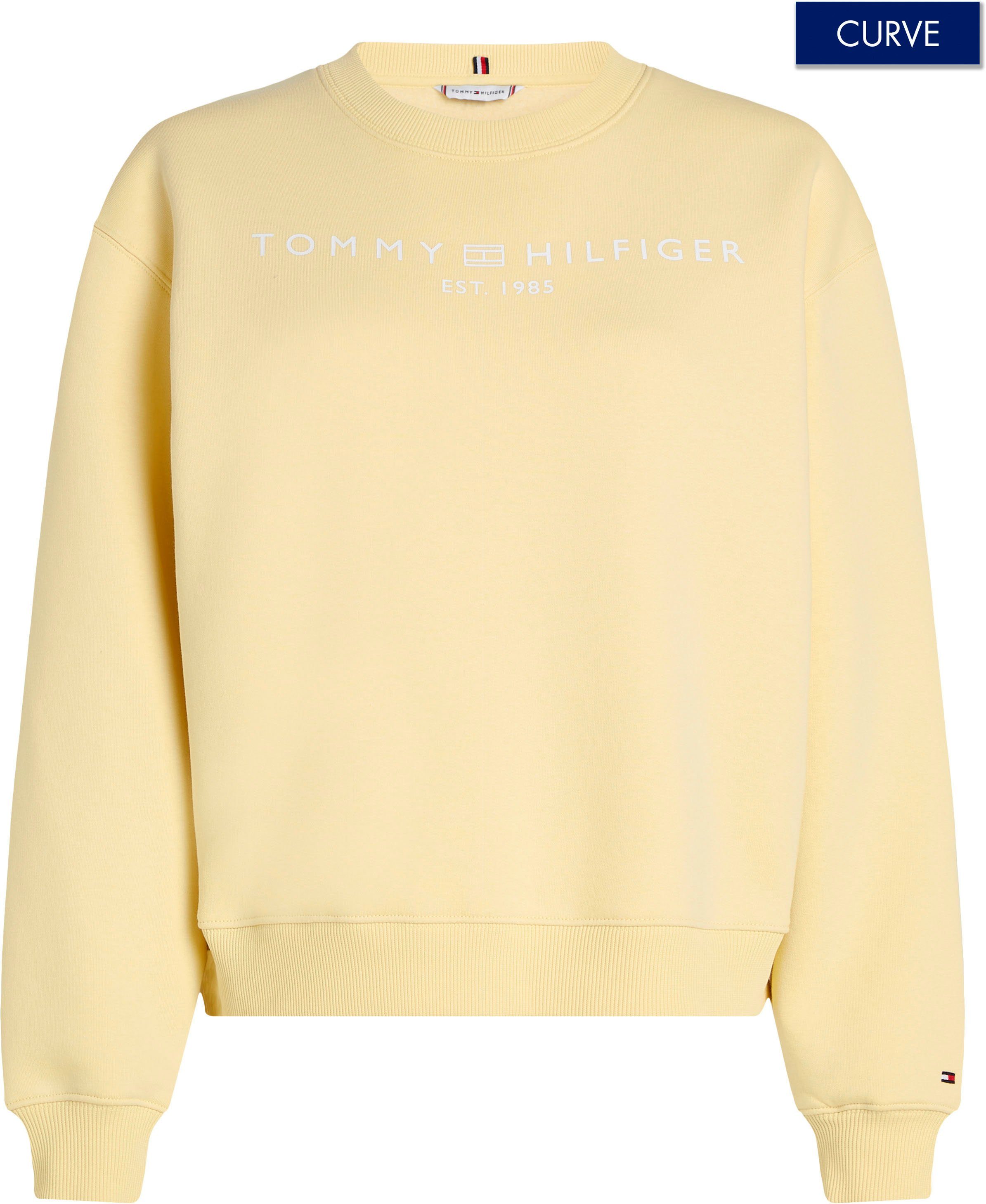 Tommy Hilfiger Curve Sweatshirt CRV MDRN REG CORP LOGO SWTSHRT