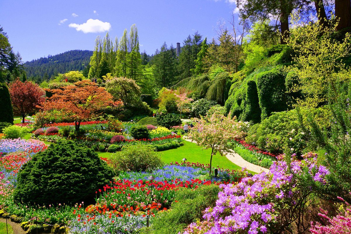 Papermoon Fotobehang Butchart Gardens