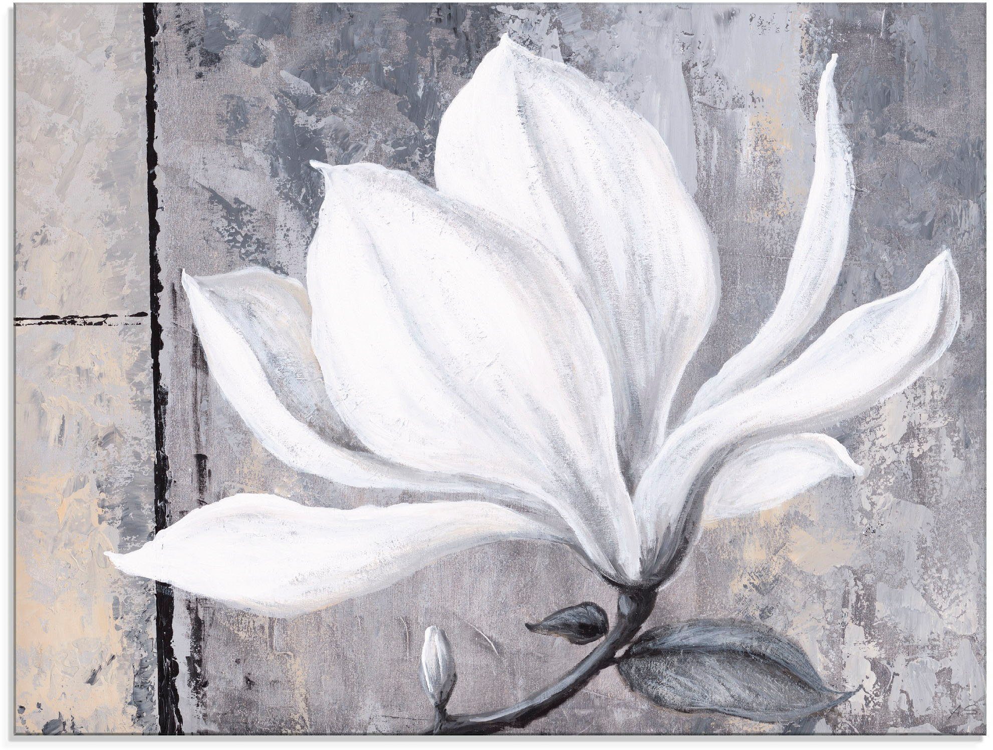 Artland print op glas Klassische Magnolie