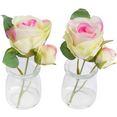 botanic-haus kunstbloem roos in het glas (set) beige