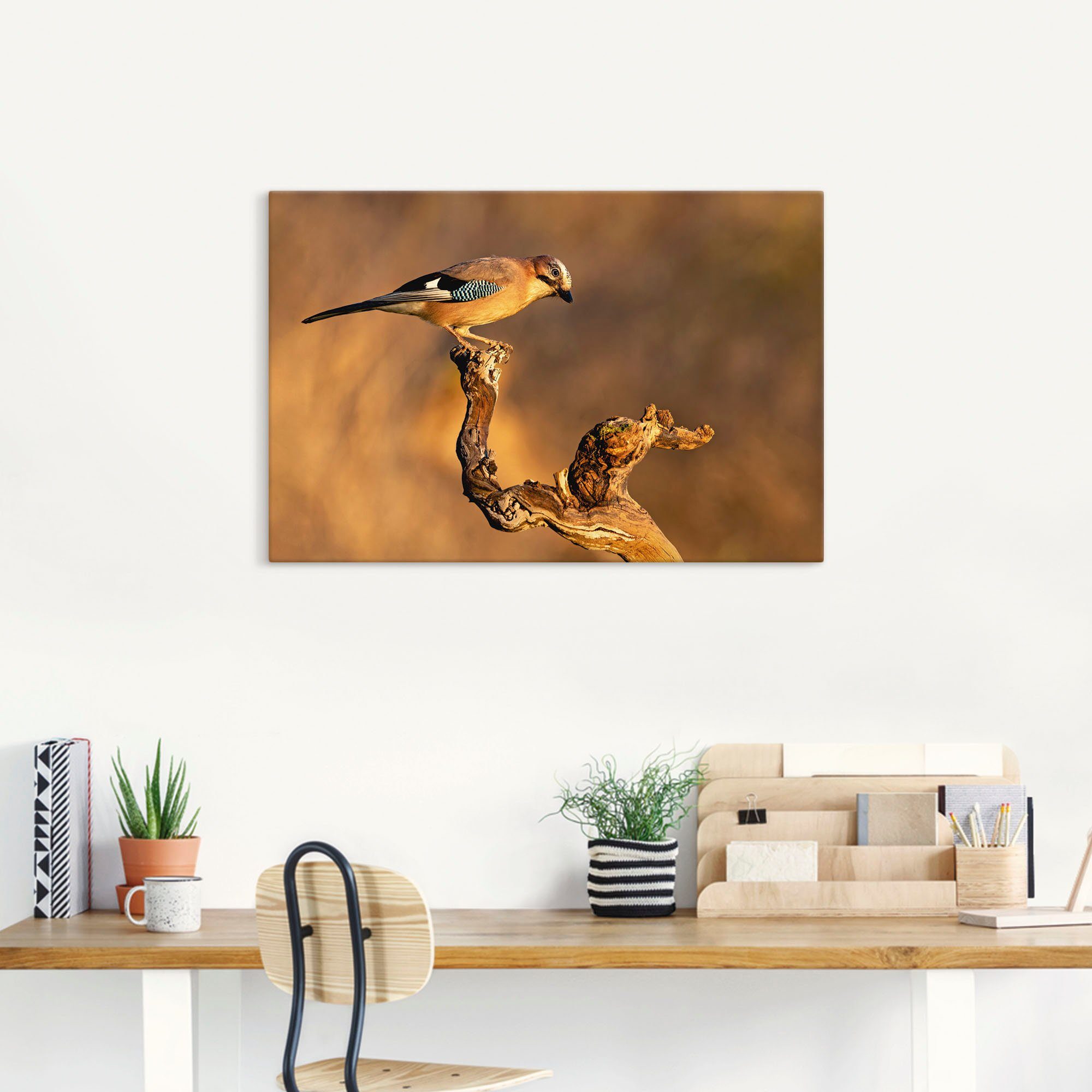 Artland Artprint Vlaamse gaai als artprint op linnen, poster in verschillende formaten maten