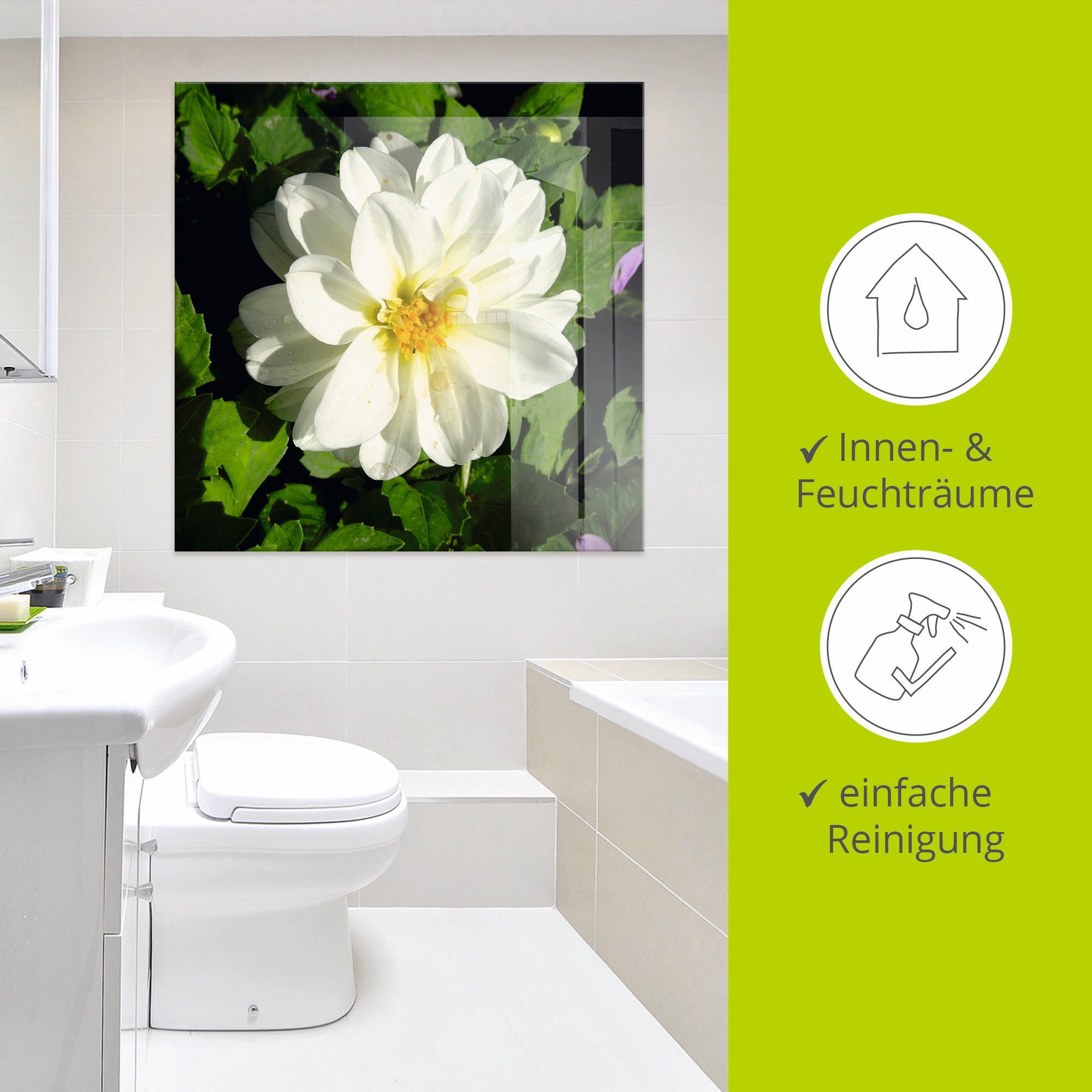 Artland Print op glas Witte dahliabloem in verschillende maten