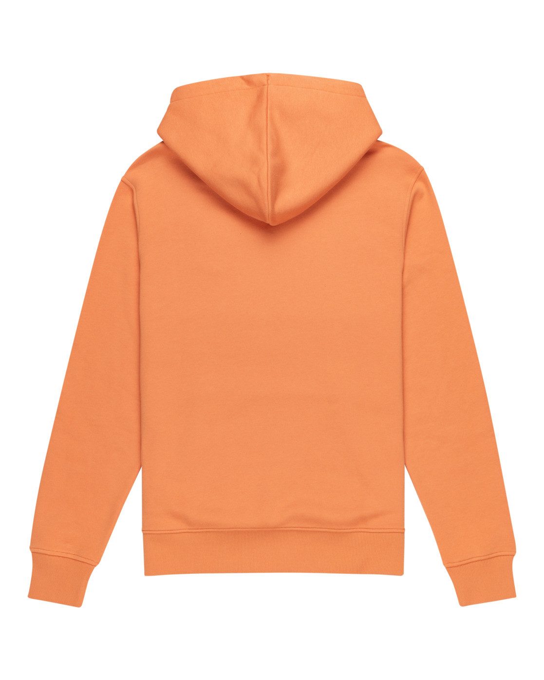 Element Hoodie Icon Embroidery Po