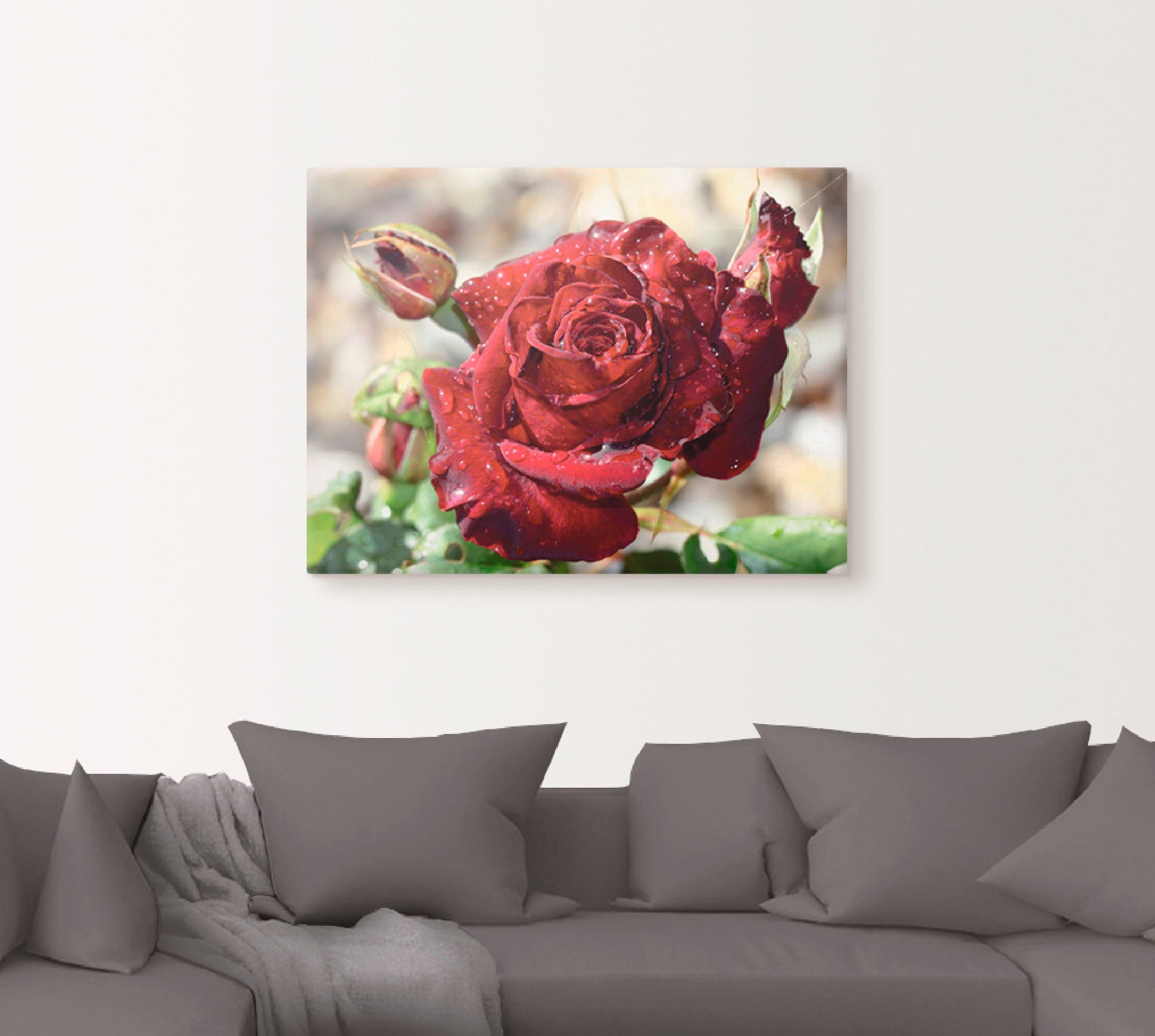 Artland Artprint Roos met druppels als artprint op linnen, poster, muursticker in verschillende maten