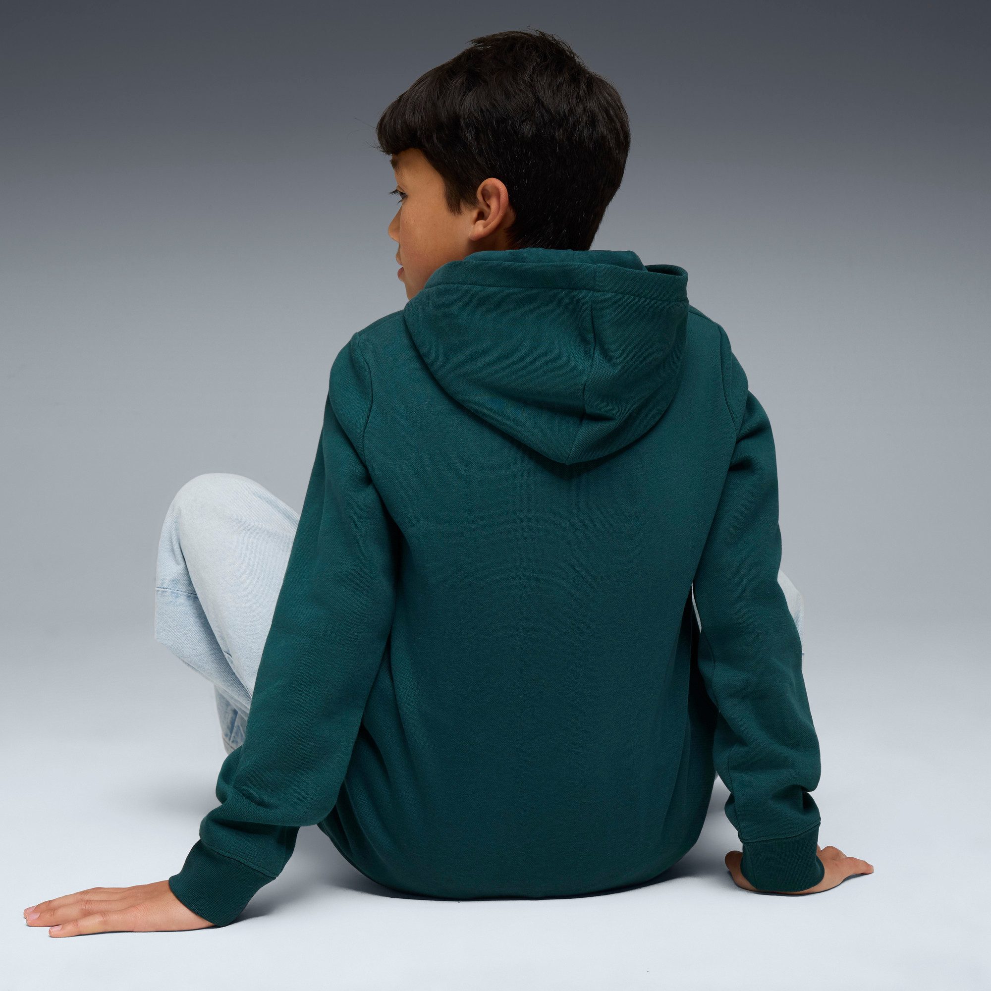PUMA Hoodie ESS NO. 1 LOGO HOODIE FL B