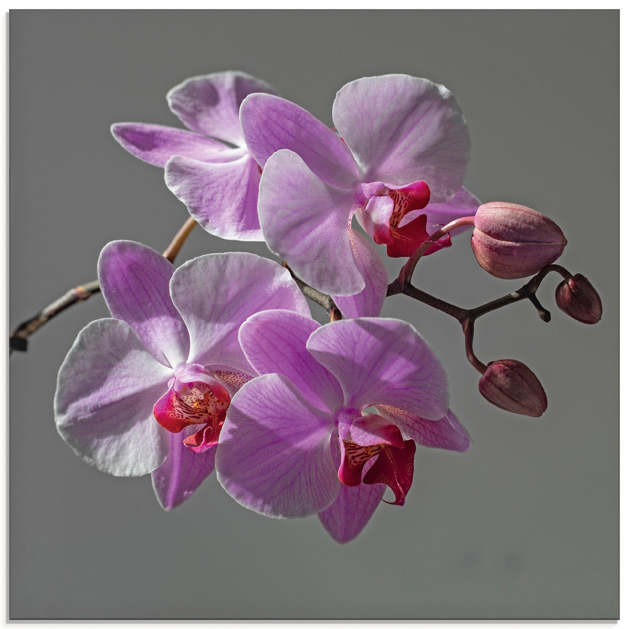 Artland Print op glas Orchideeën Droom (1 stuk)