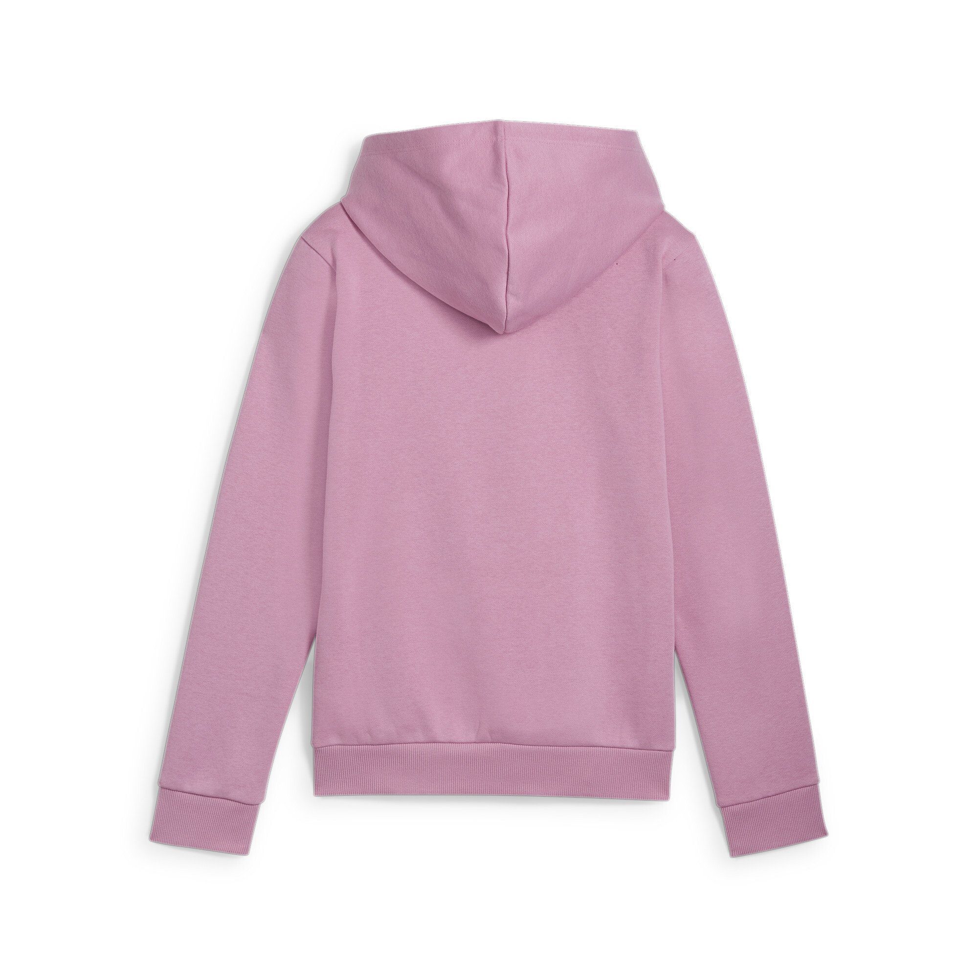 PUMA Hoodie ESS+ Logo Hoodie FL G