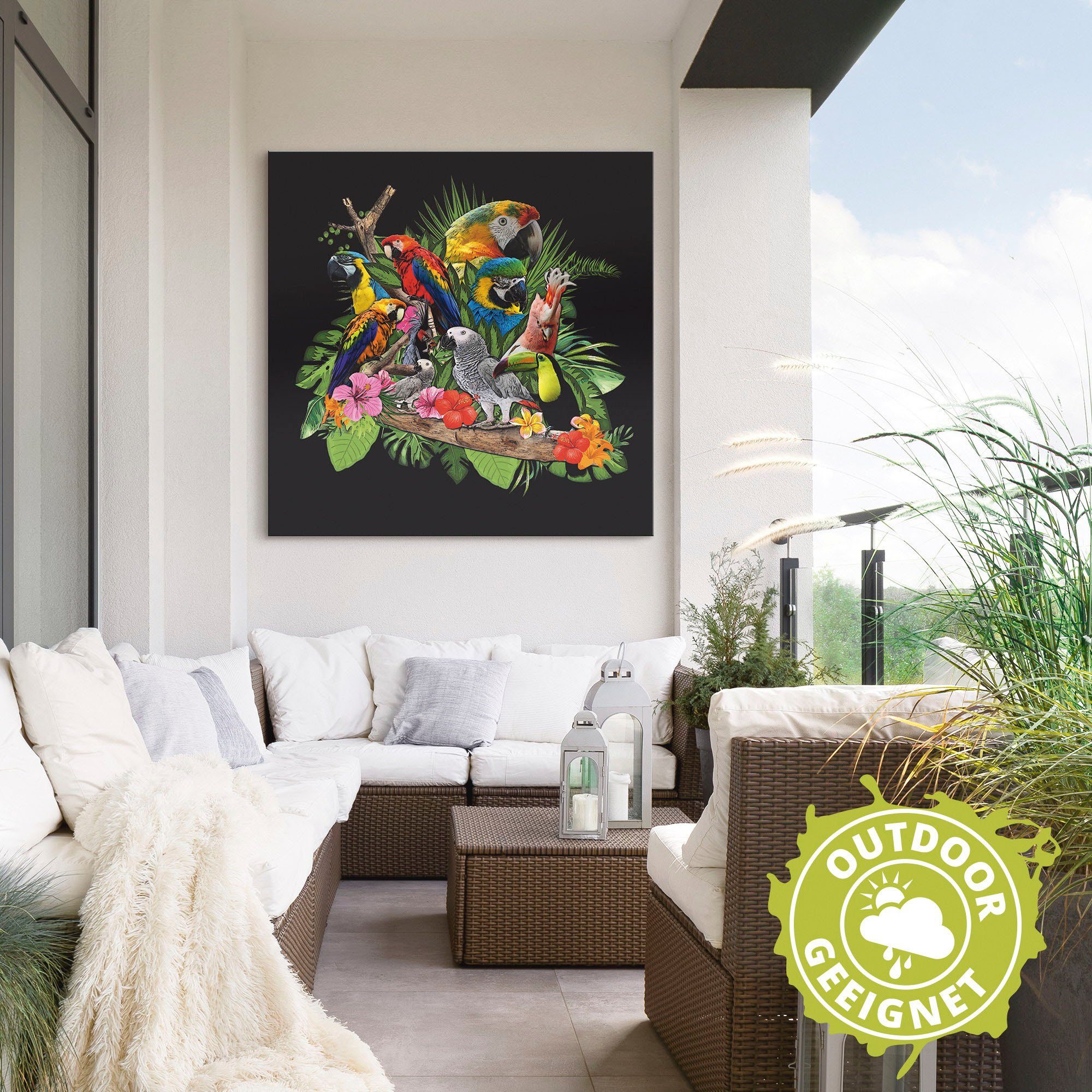 Artland Artprint Papegaaien Grijze Papegaai Kaketoe Jungle als artprint van aluminium, artprint voor buiten, artprint op linnen, poster, muursticker