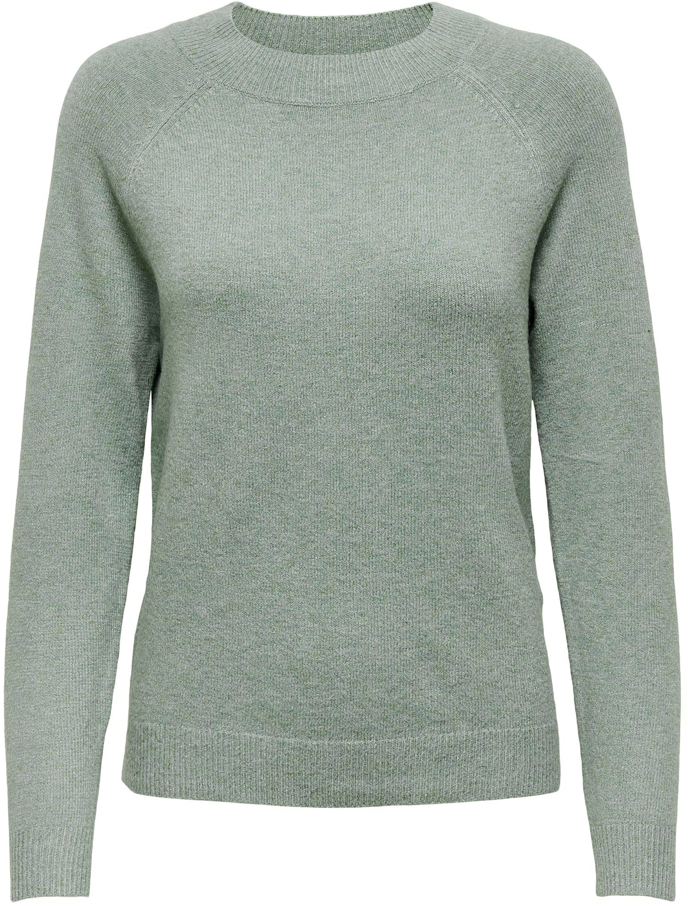 Only Trui met ronde hals ONLRICA LIFE L/S PULLOVER KNT NOOS