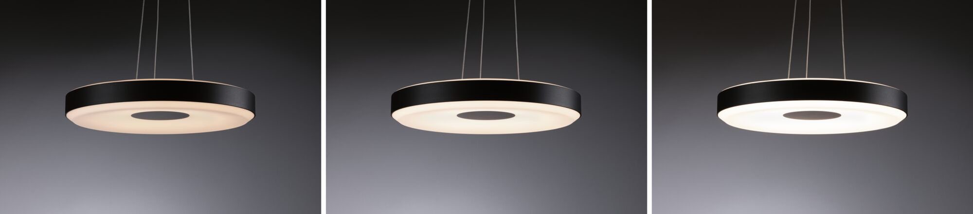 Paulmann Hanglamp Puric Pane LED, dimbaar, zwart, grijs, metaal (1 stuk)