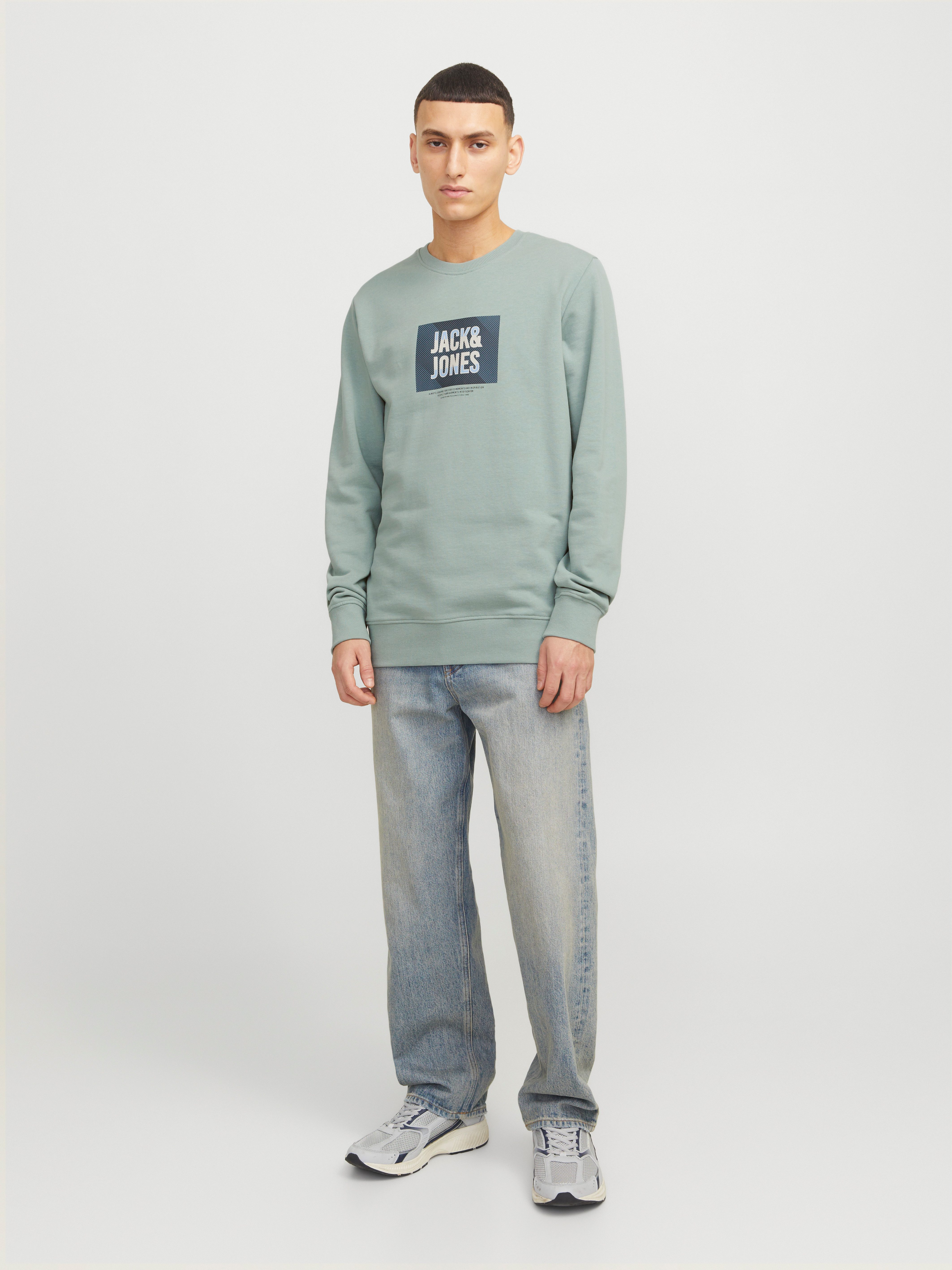 Jack & Jones Sweatshirt JJHUDSON SWEAT CREW NECK