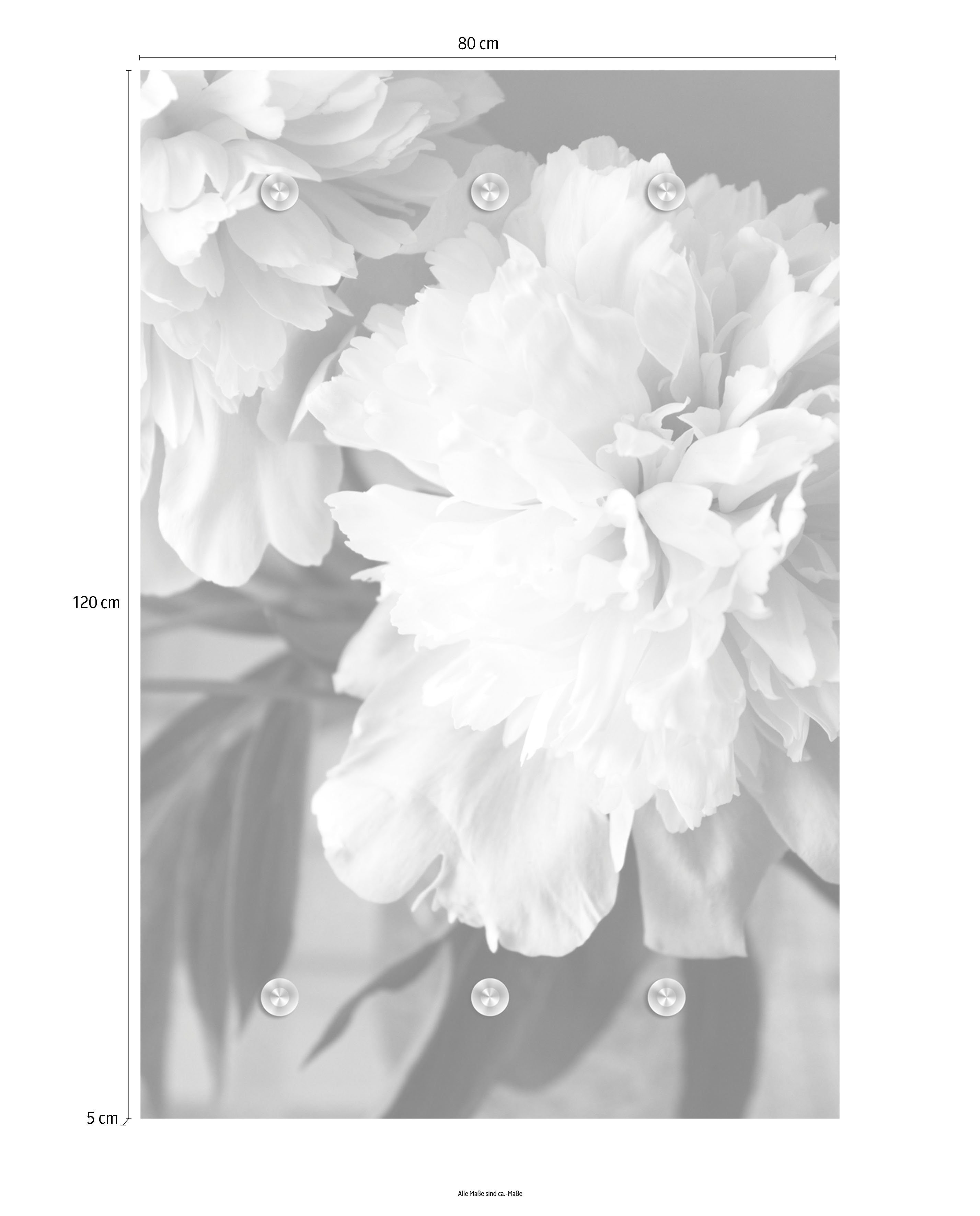queence Kapstok Bloem met 6 haken, 80 x 120 cm