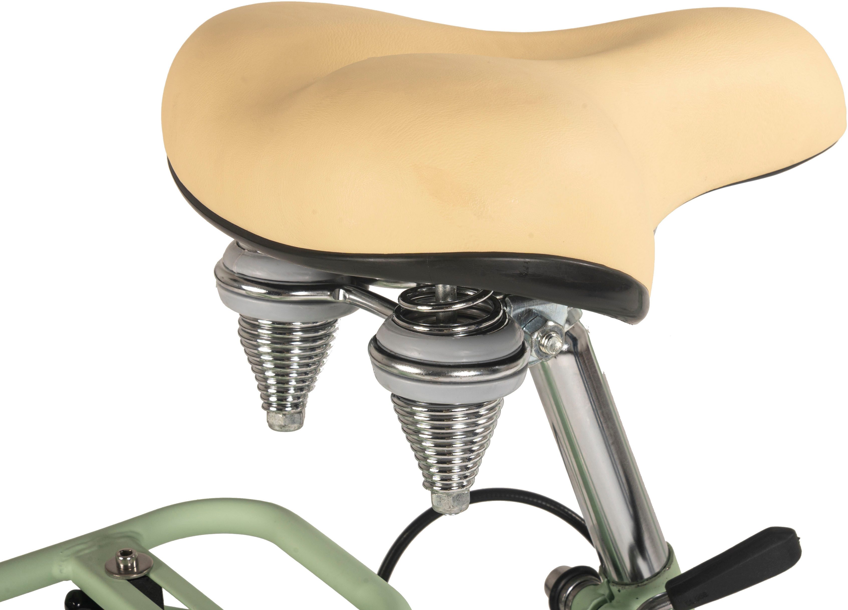 Dacapo Citybike Balloon damesfiets 28'' groen 6 versnellingen 48 cm