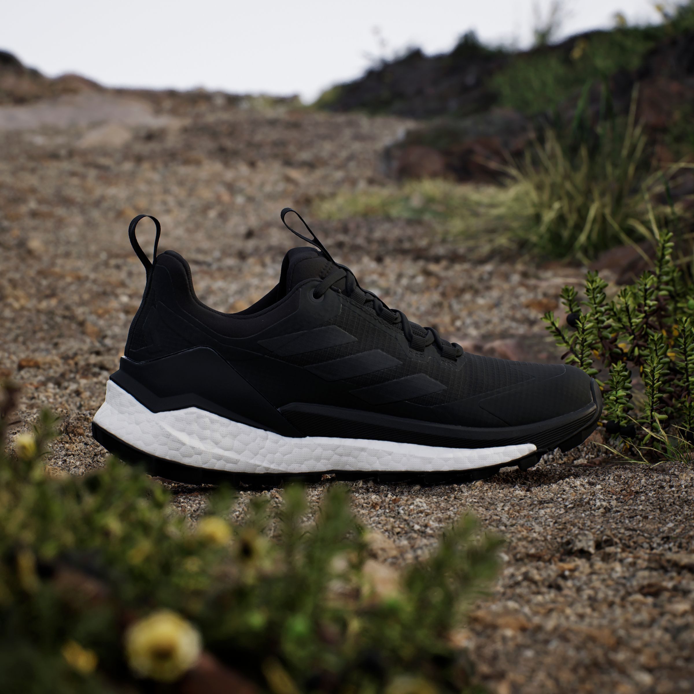 adidas TERREX Wandelschoenen TERREX FREE HIKER 2.0 LOW GORE-TEX