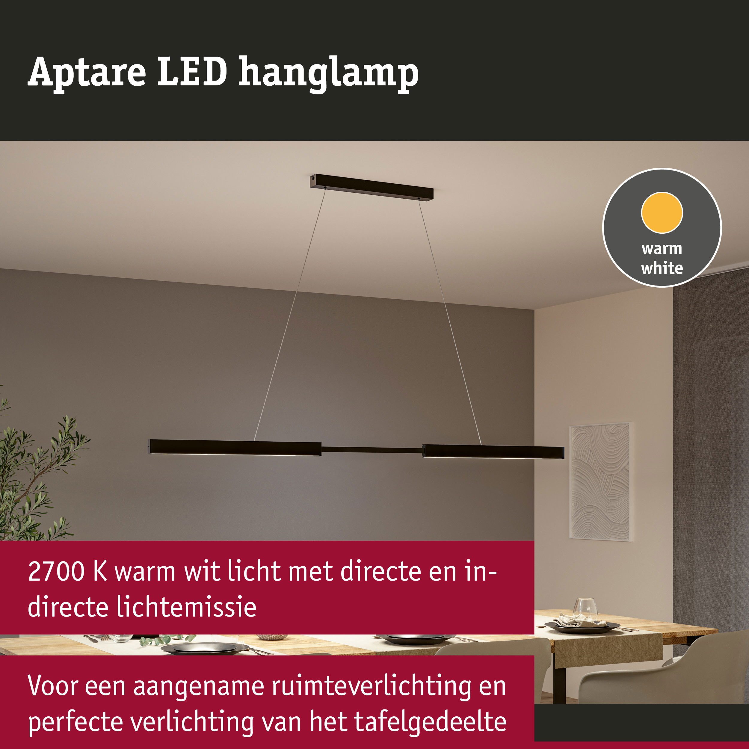Paulmann Led-hanglamp LED hanglamp Aptare dimbaar