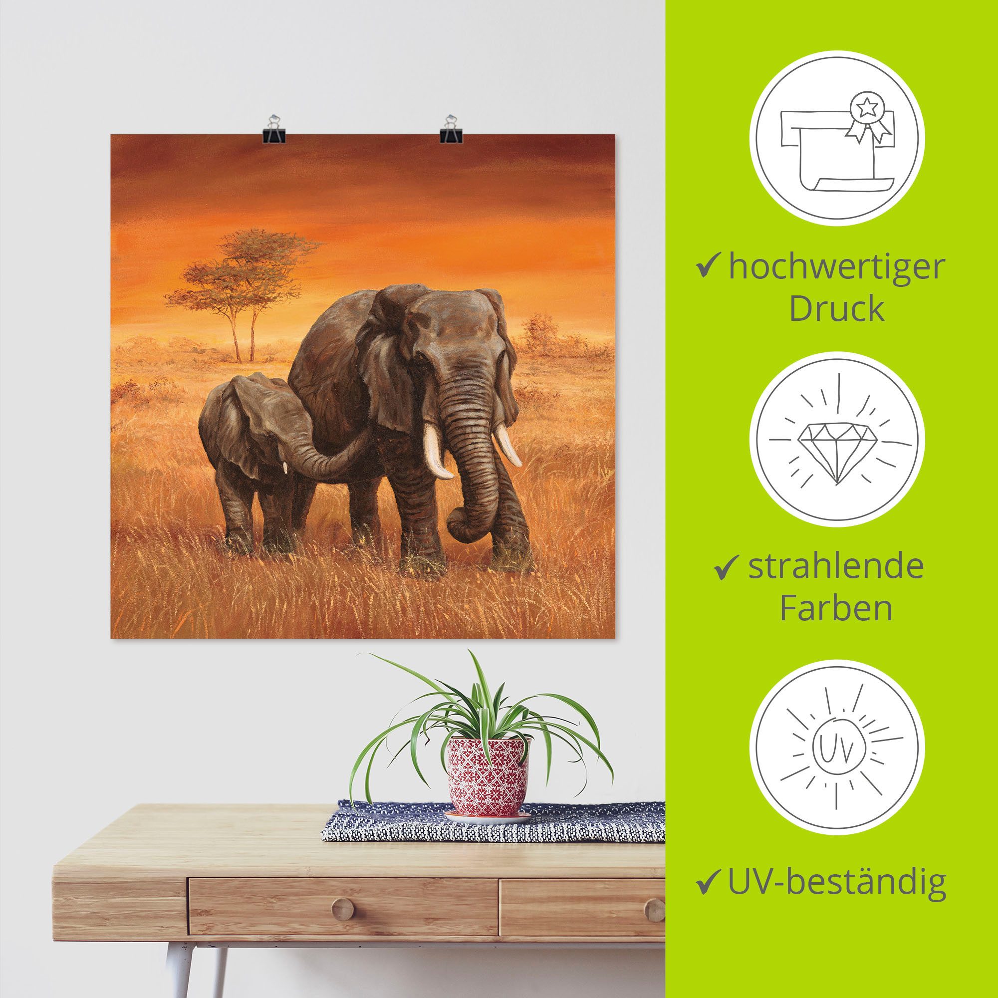 Artland Artprint Olifanten II als artprint van aluminium, artprint voor buiten, artprint op linnen, poster, muursticker