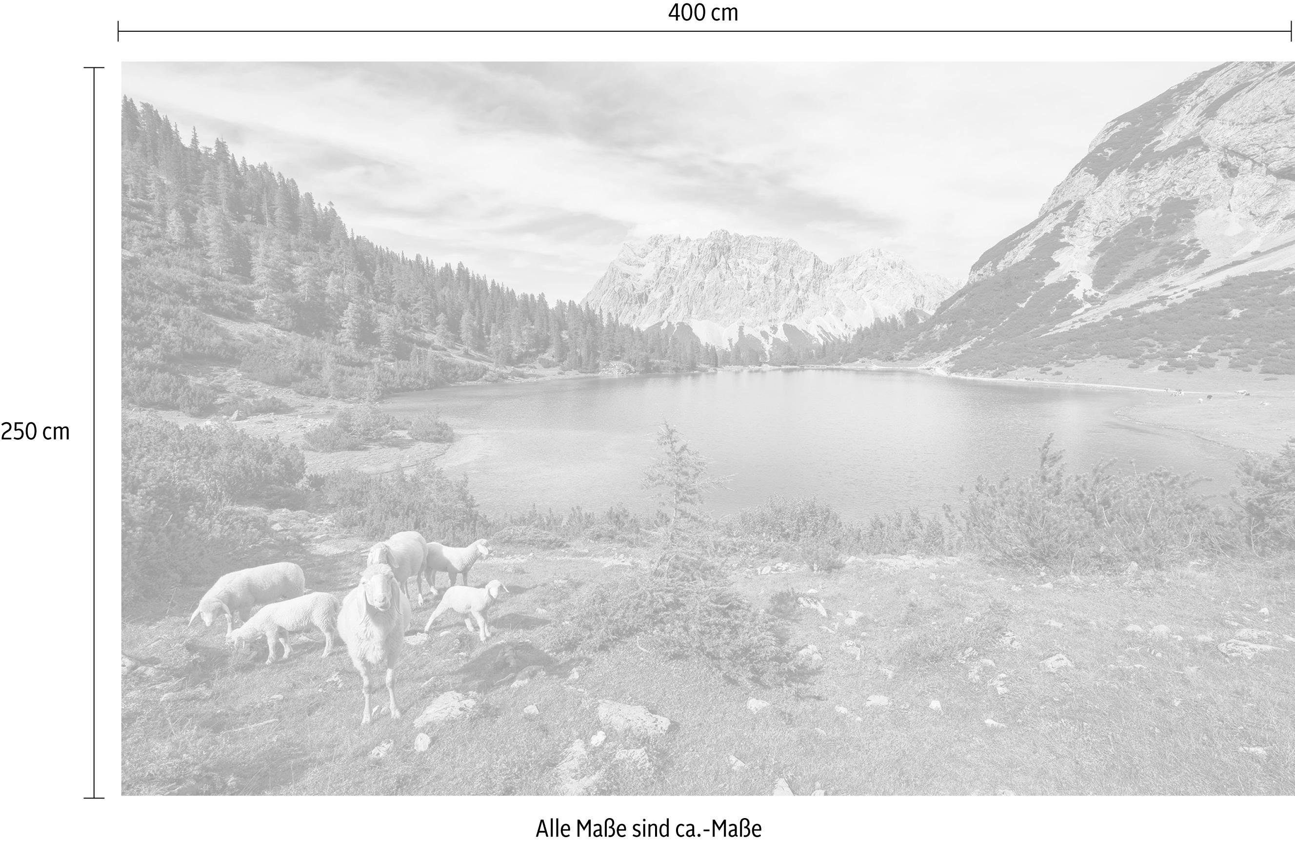 Komar Vliesbehang Digitale print vlies - Paradise Lake - Afmeting 400 x 250 cm (1 stuk)