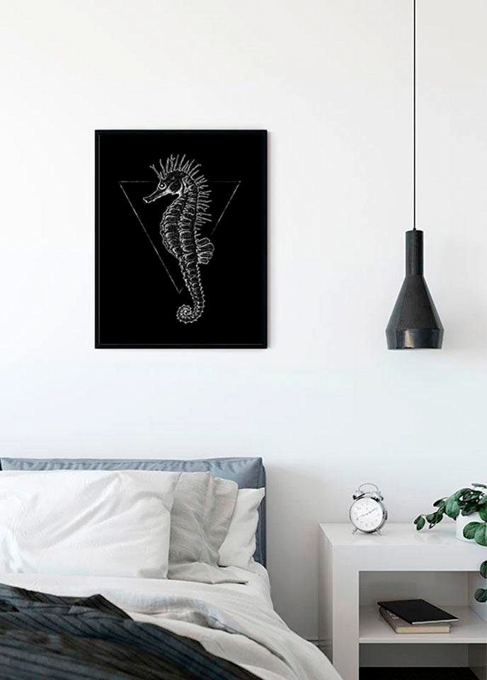 Komar XXL poster Sea Horse Black