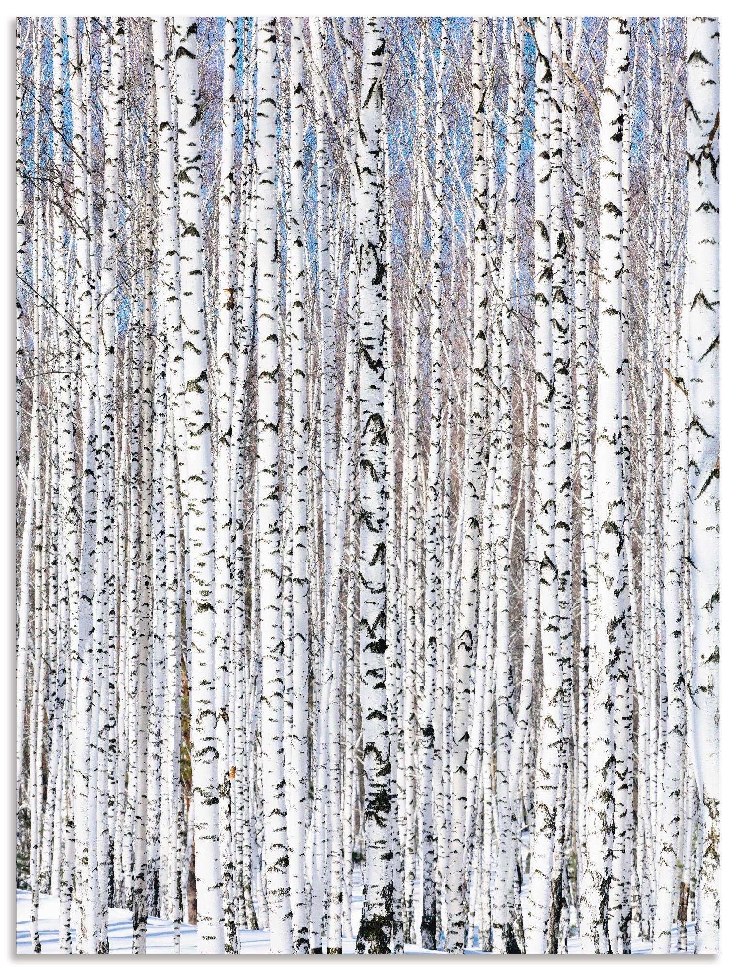 Artland Artprint Winter berkenbos winter sereniteit in vele afmetingen & productsoorten - artprint van aluminium / artprint voor buiten, artprint op linnen, poster, muursticker / w
