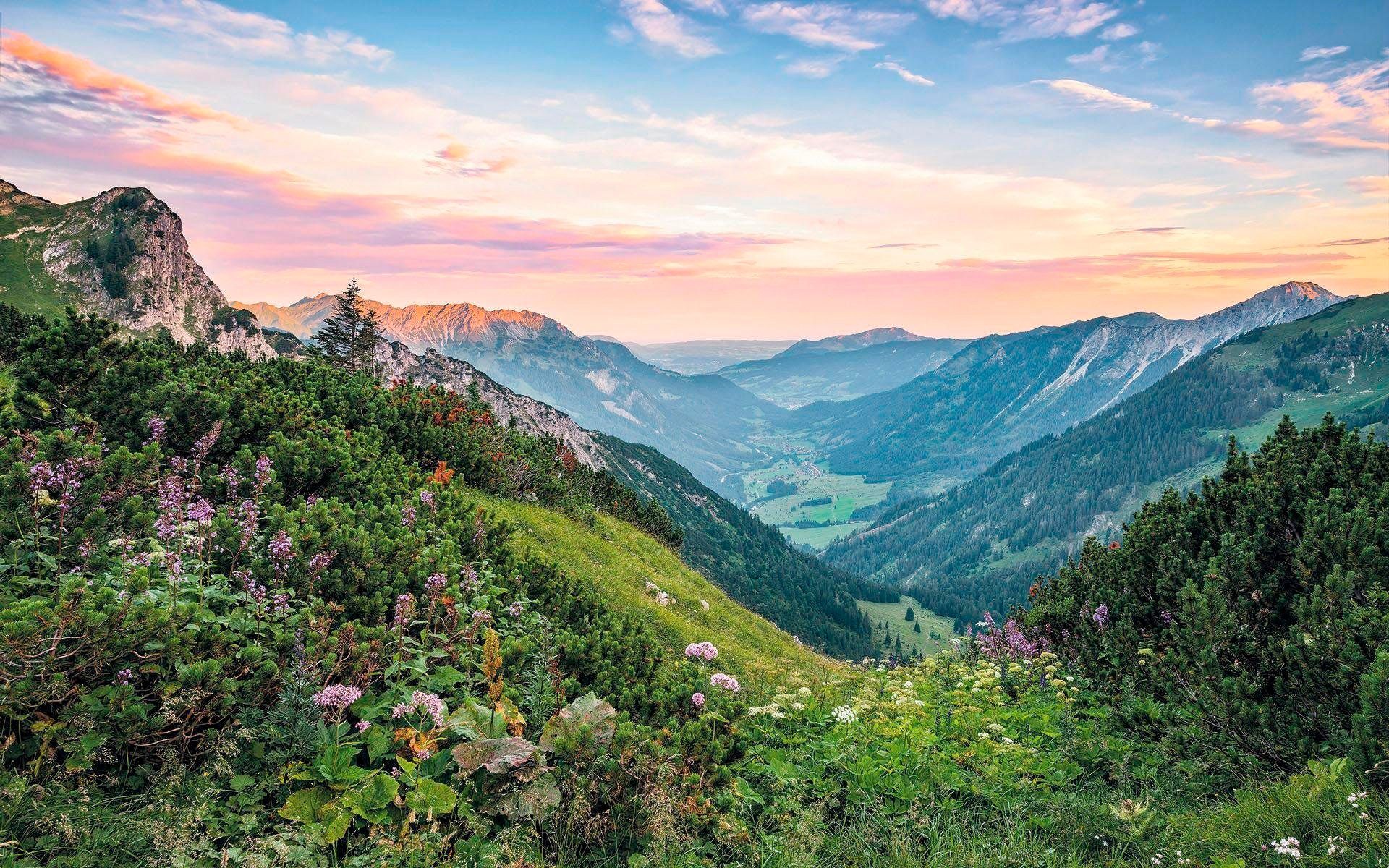 Komar Vliesbehang Digitale print vlies - Alps - Afmeting 400 x 250 cm (1 stuk) zelfklevend behang multicolor