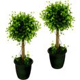i.ge.a. kunstboom buxusbolboompje in een plastic pot, set van 2 (2 stuks) groen
