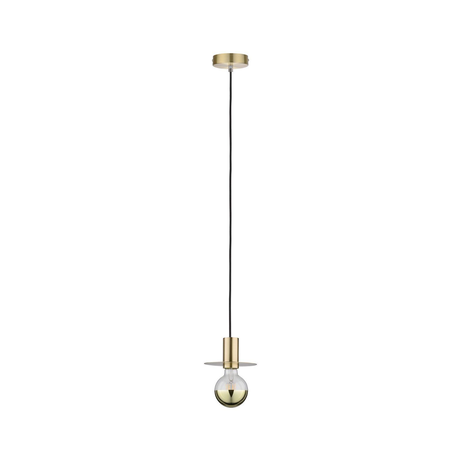 Paulmann Hanglamp Neordic Stian max. 1x60W Geborsteld messing 230V Metaal (1 stuk)