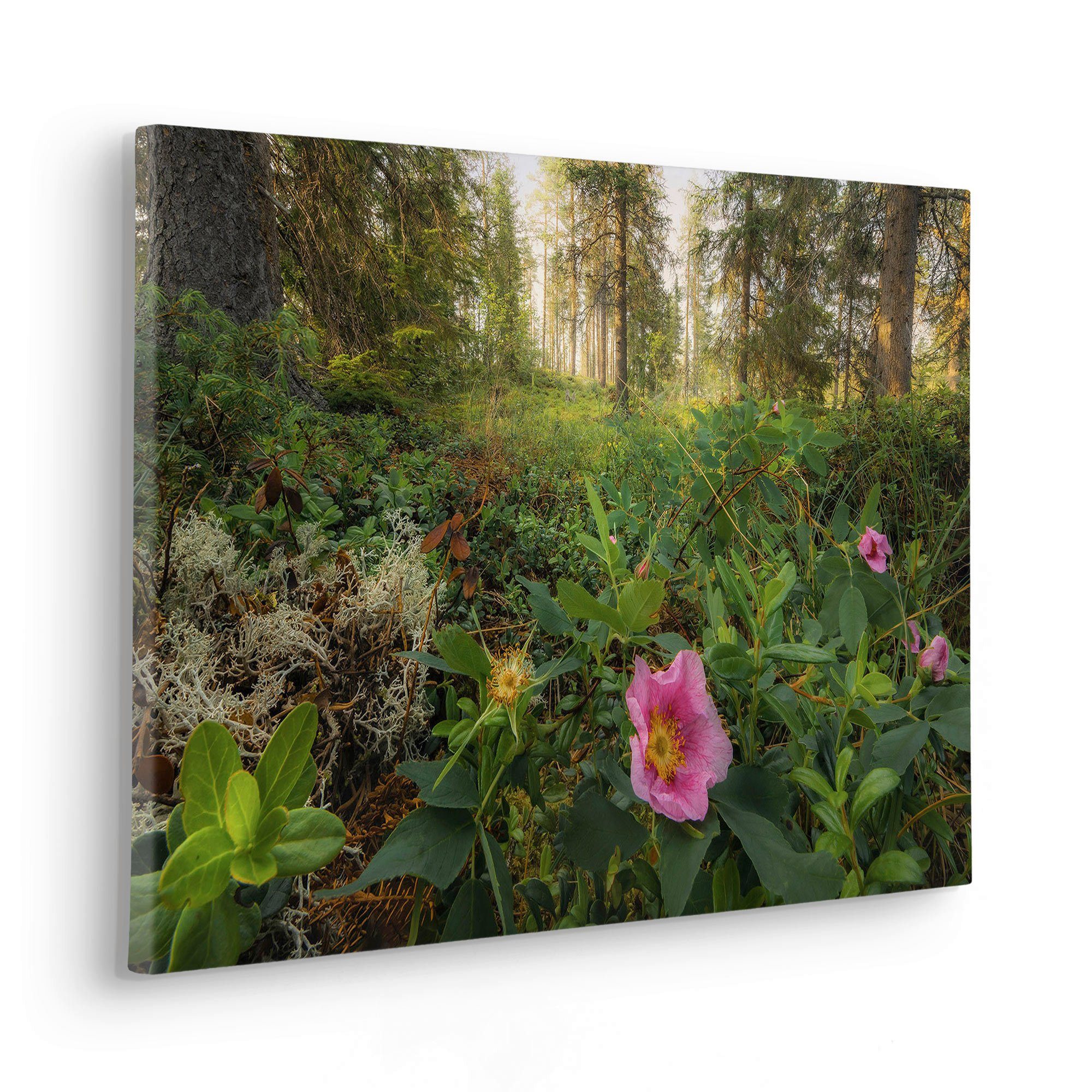 Komar Artprint op linnen Keilrahmenbild Charming Woods Größe 60 x 40 cm Duits kwaliteitsvliesmateria