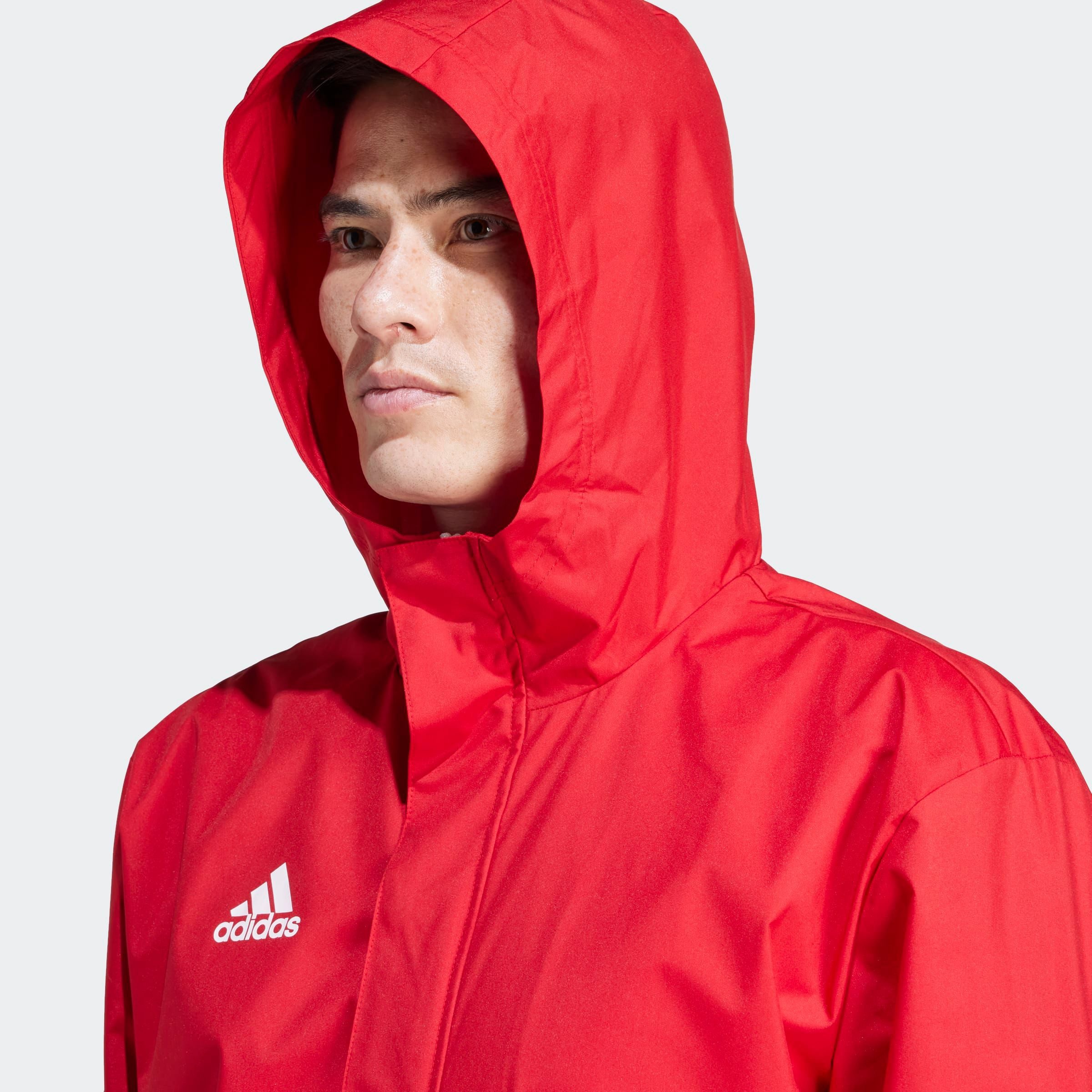adidas Performance Trainingsjack ENT22 AW JKT