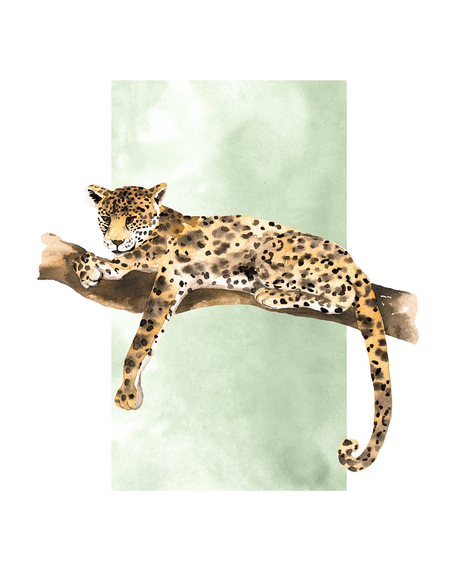 Komar Poster Lazy Leopard