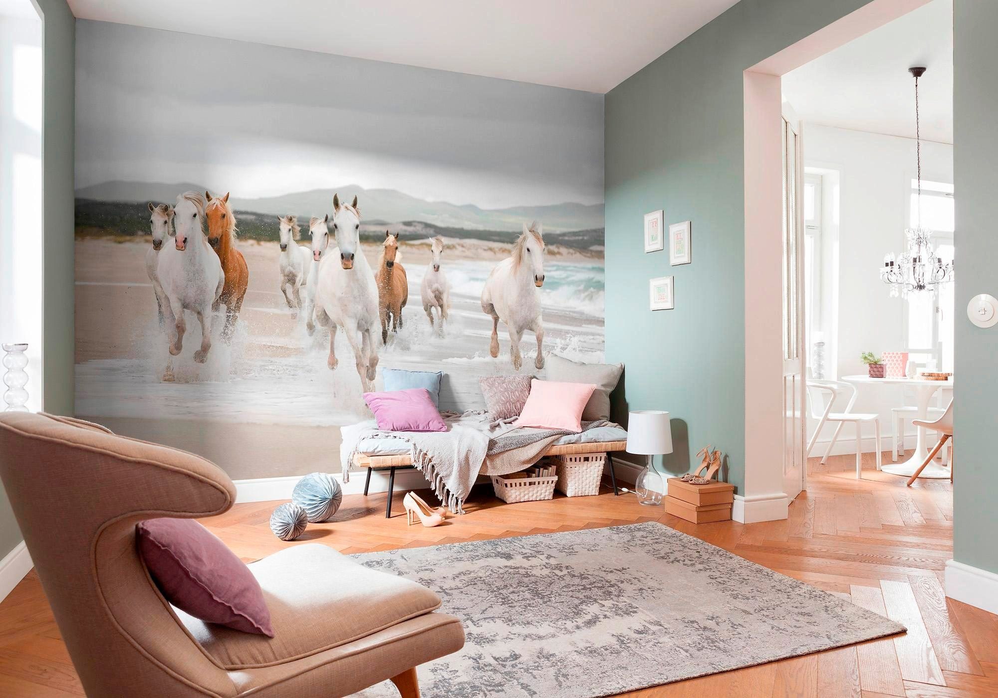 Komar Fotobehang White Horses - Afmeting 368 x 254 cm (set)