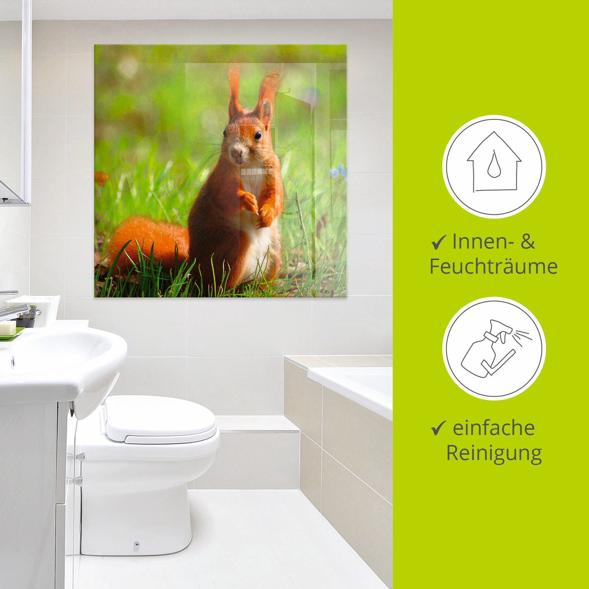 Artland Print op glas Eekhoorntje contact in verschillende maten