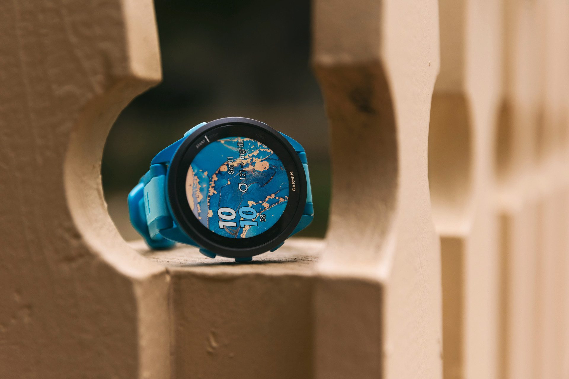 Garmin Smartwatch Forerunner 165 Music