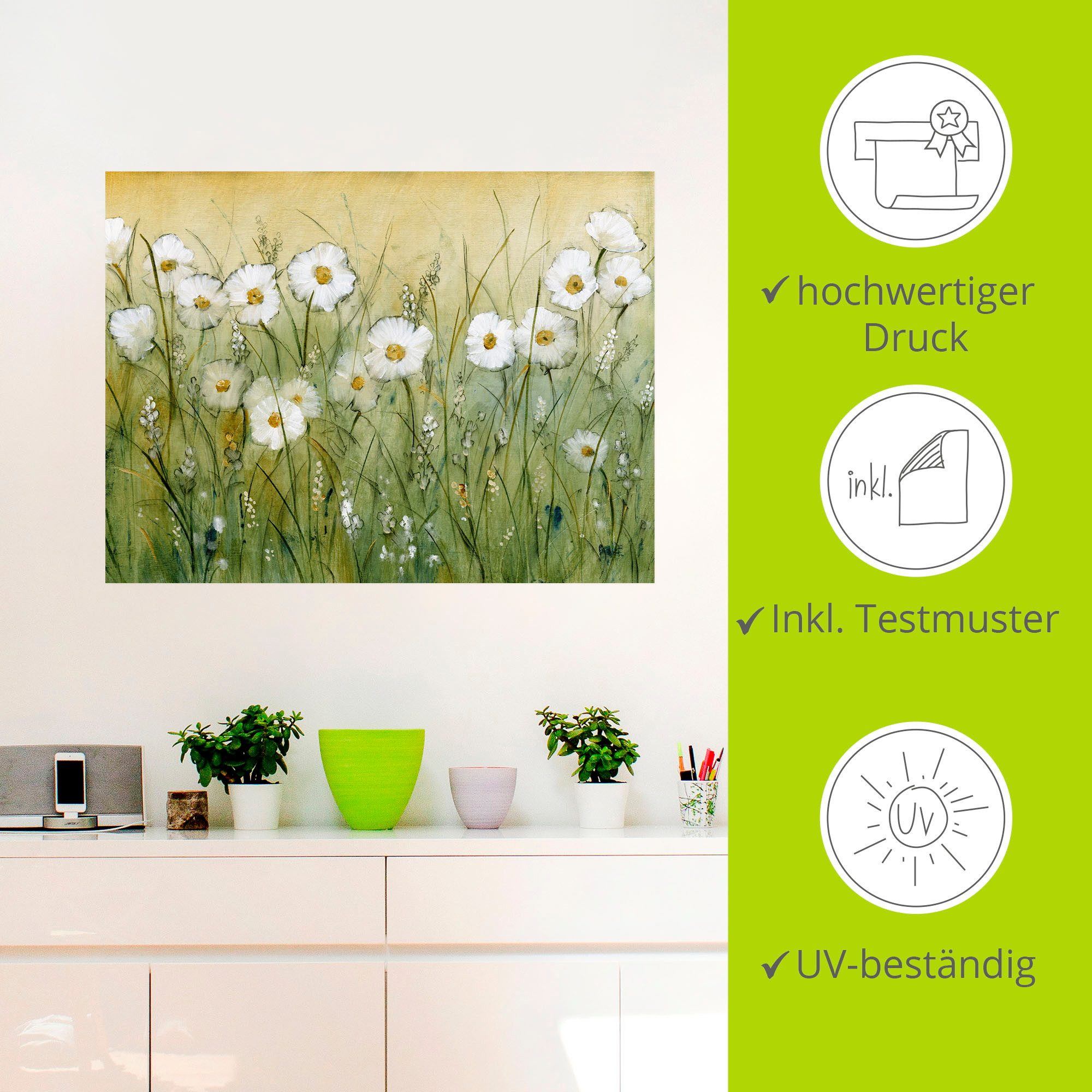 Artland Artprint Voorjaar met madeliefjes II als artprint van aluminium, artprint voor buiten, artprint op linnen, poster, muursticker