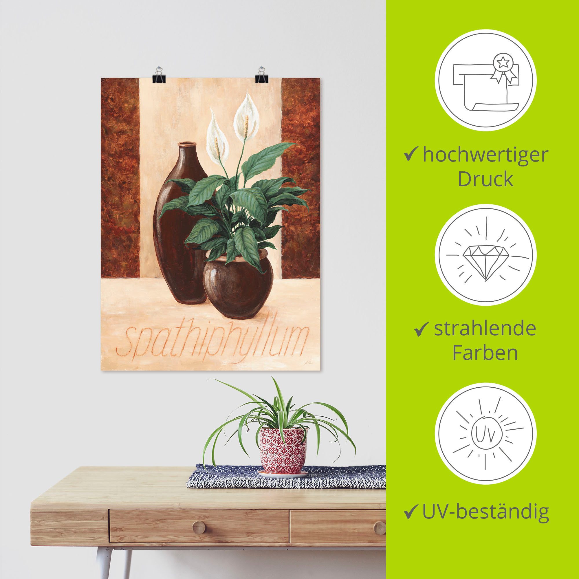 Artland Poster Spathiphyllum - Lepelplant als artprint van aluminium, artprint op linnen, muursticker of poster in verschillende maten