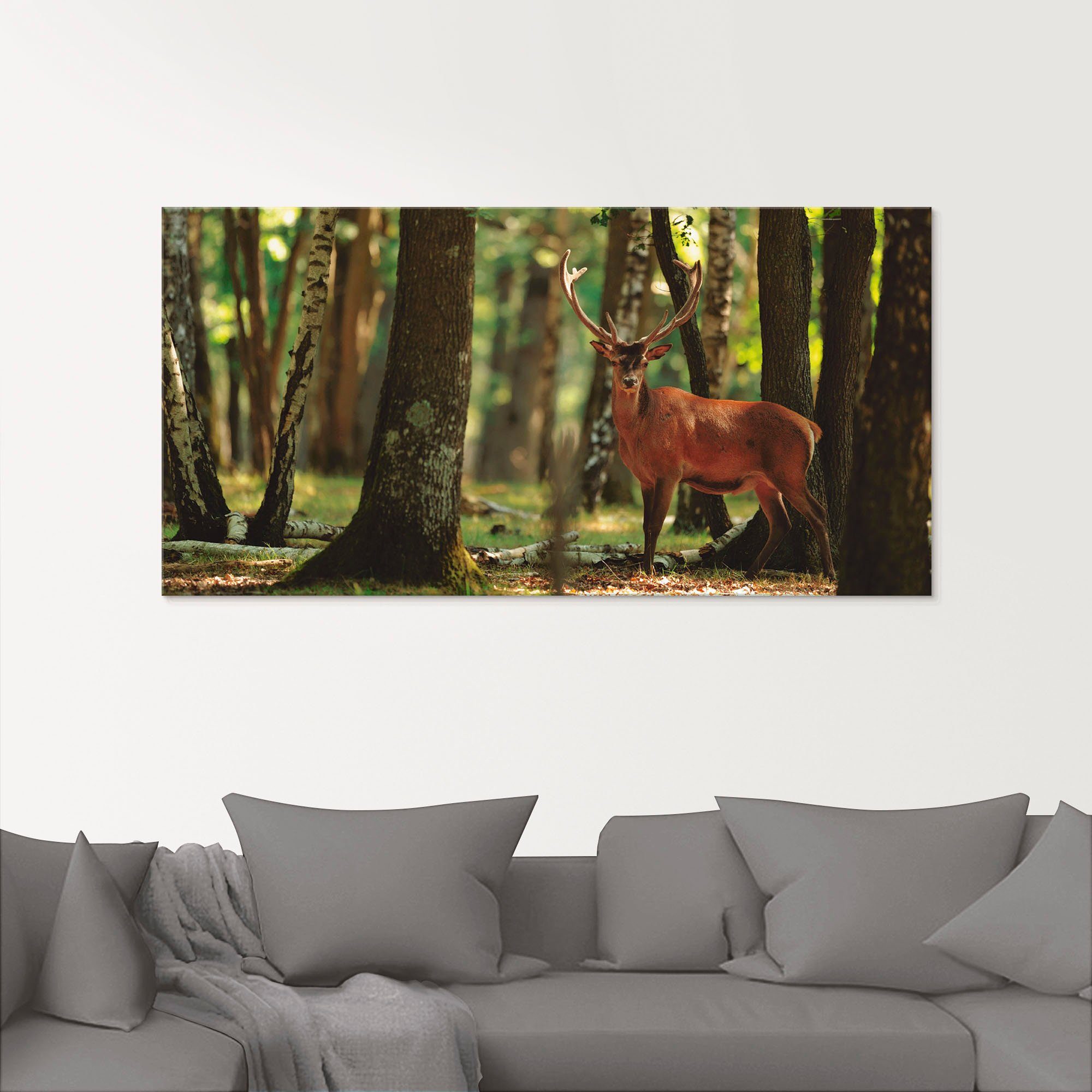 Artland Print op glas Edelhert 4 - bos in verschillende maten
