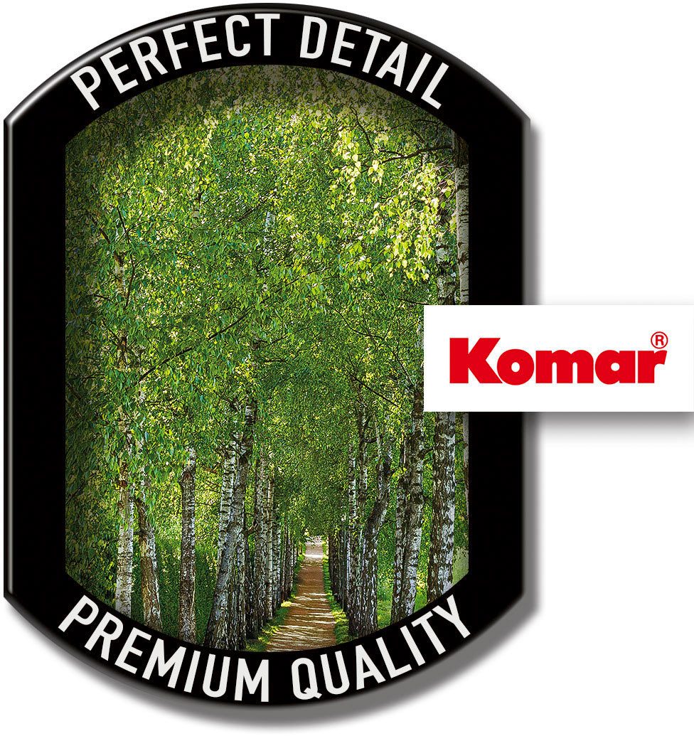 Komar Fotobehang - Birkenallee - grootte 92 x 220 cm (1 stuk)