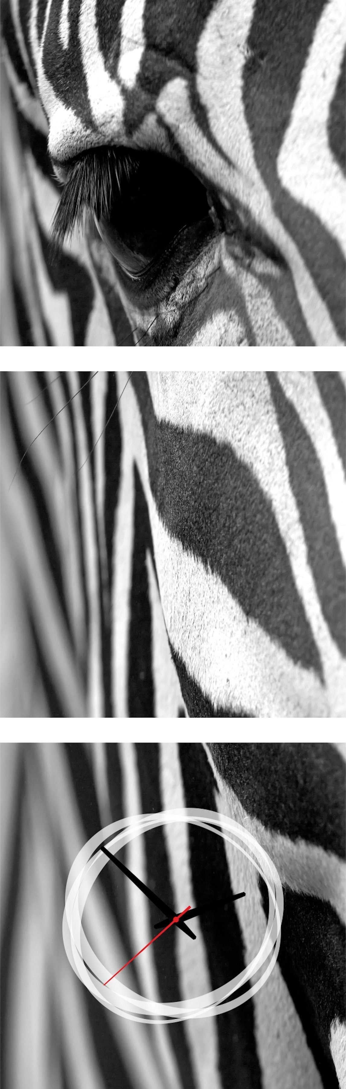 Conni Oberkircher´s Beeld met klok Zebra met decoratieve klok, zwart/wit, zebrastrepen, wilde dieren (set)