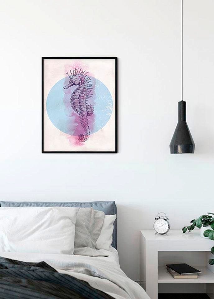 Komar Wanddecoratie Sea Horse Circle Wanddecoratie - zonder lijst (1 stuk)