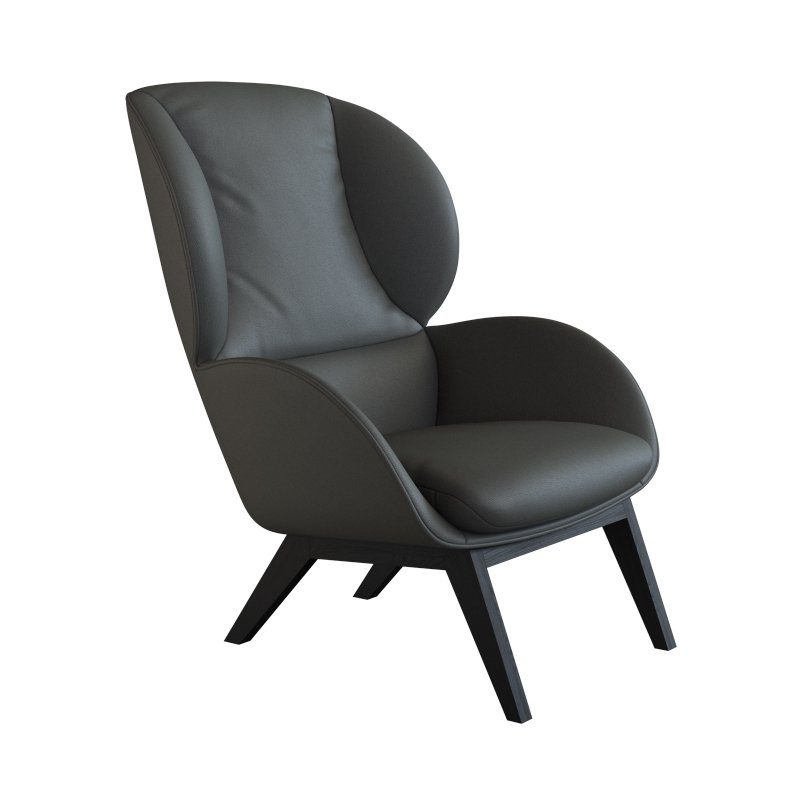 FLEXLUX Oorfauteuil Adria designstoel, loungestoel, Stijl & comfort, organische vorm, zwarte houten voet