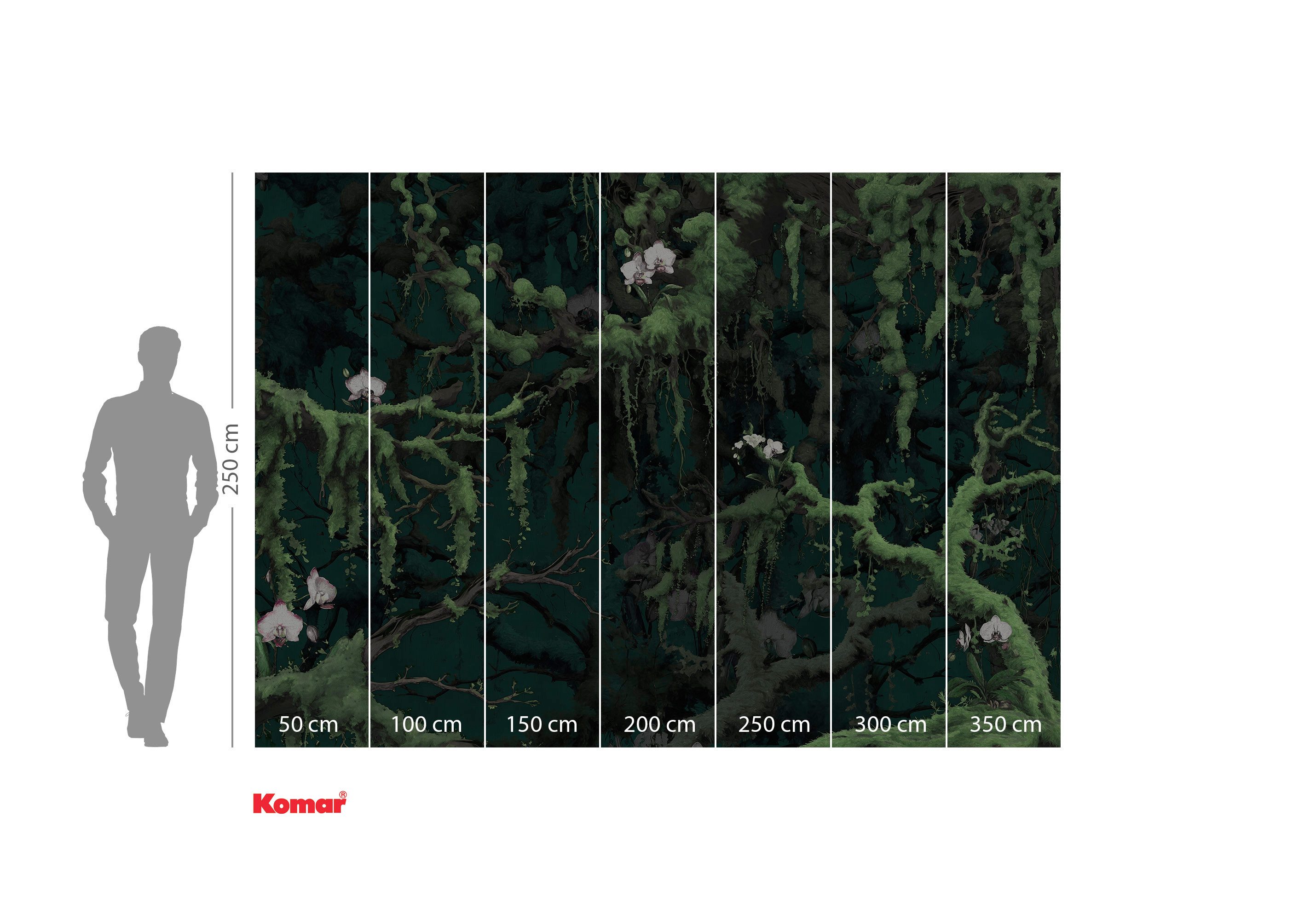 Komar Fotobehang Komar vlies fotobehang - Orch-Idee - maat 350 x 250 cm (set)